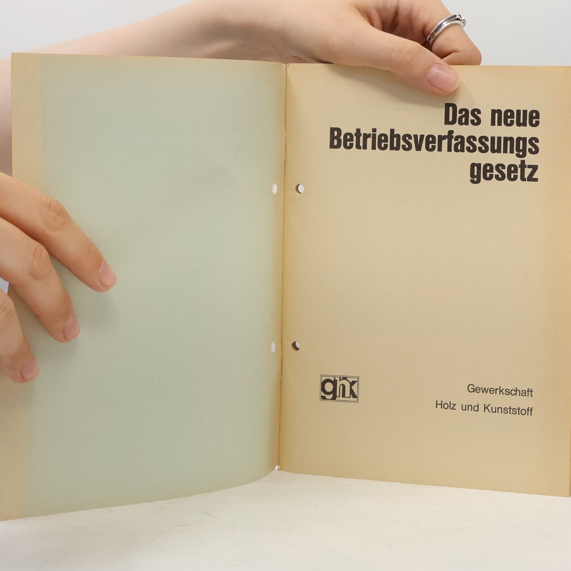 kolektiv Das neue Betriebsverfassungsgesetz