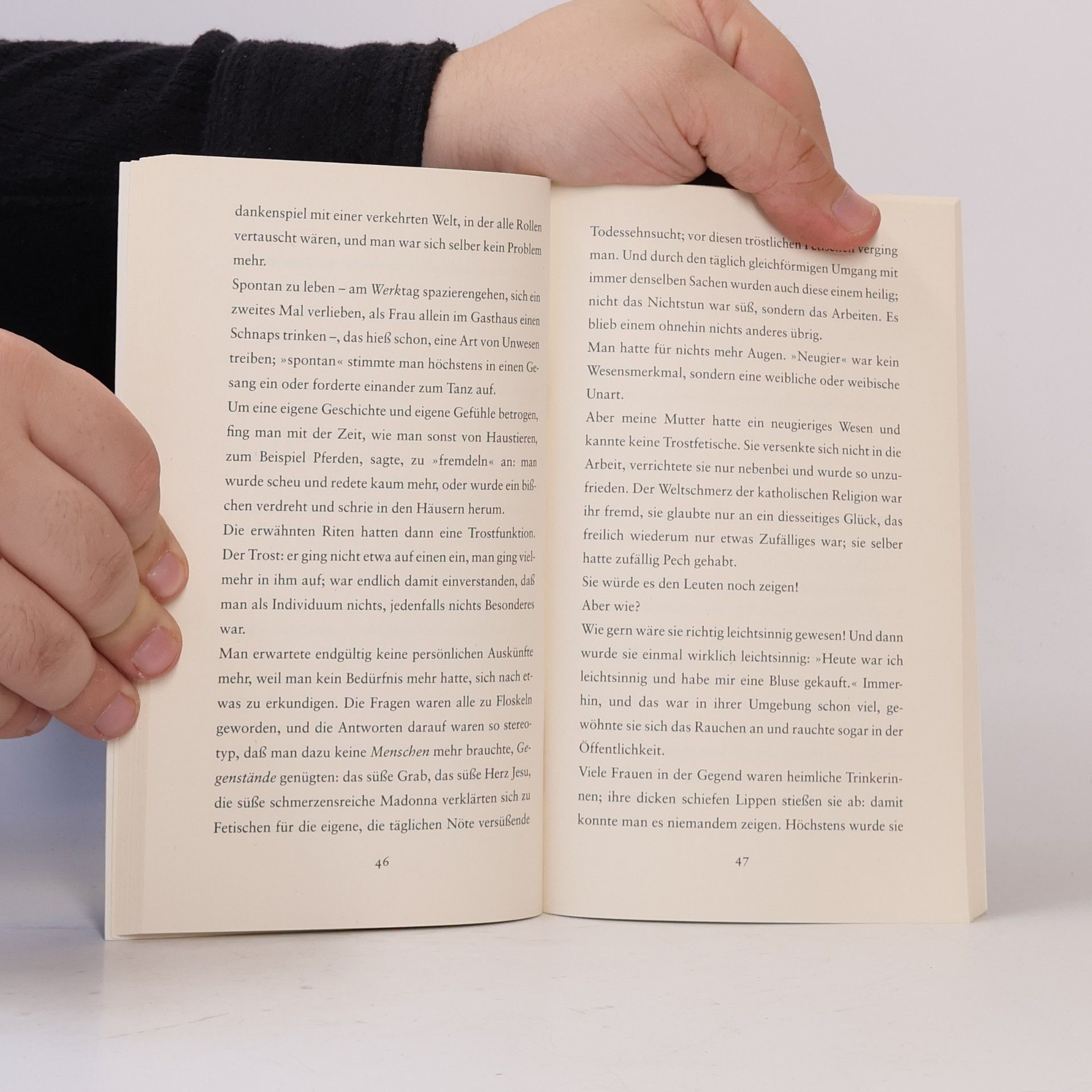 Peter Handke Wunschloses Unglück