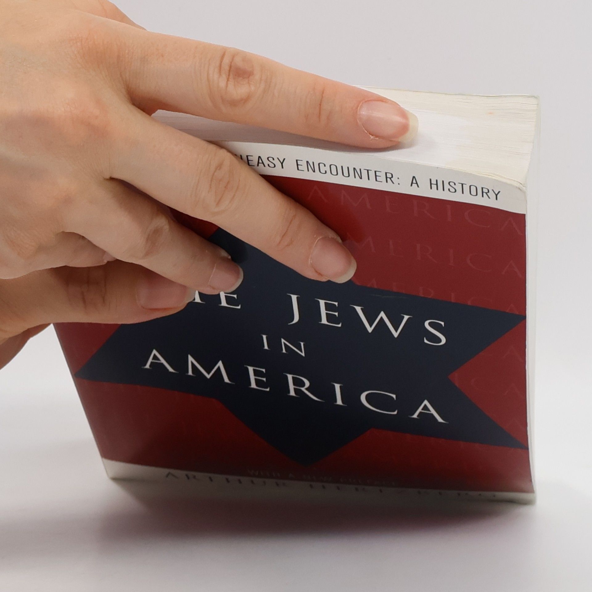 Arthur Hertzberg The Jews in America