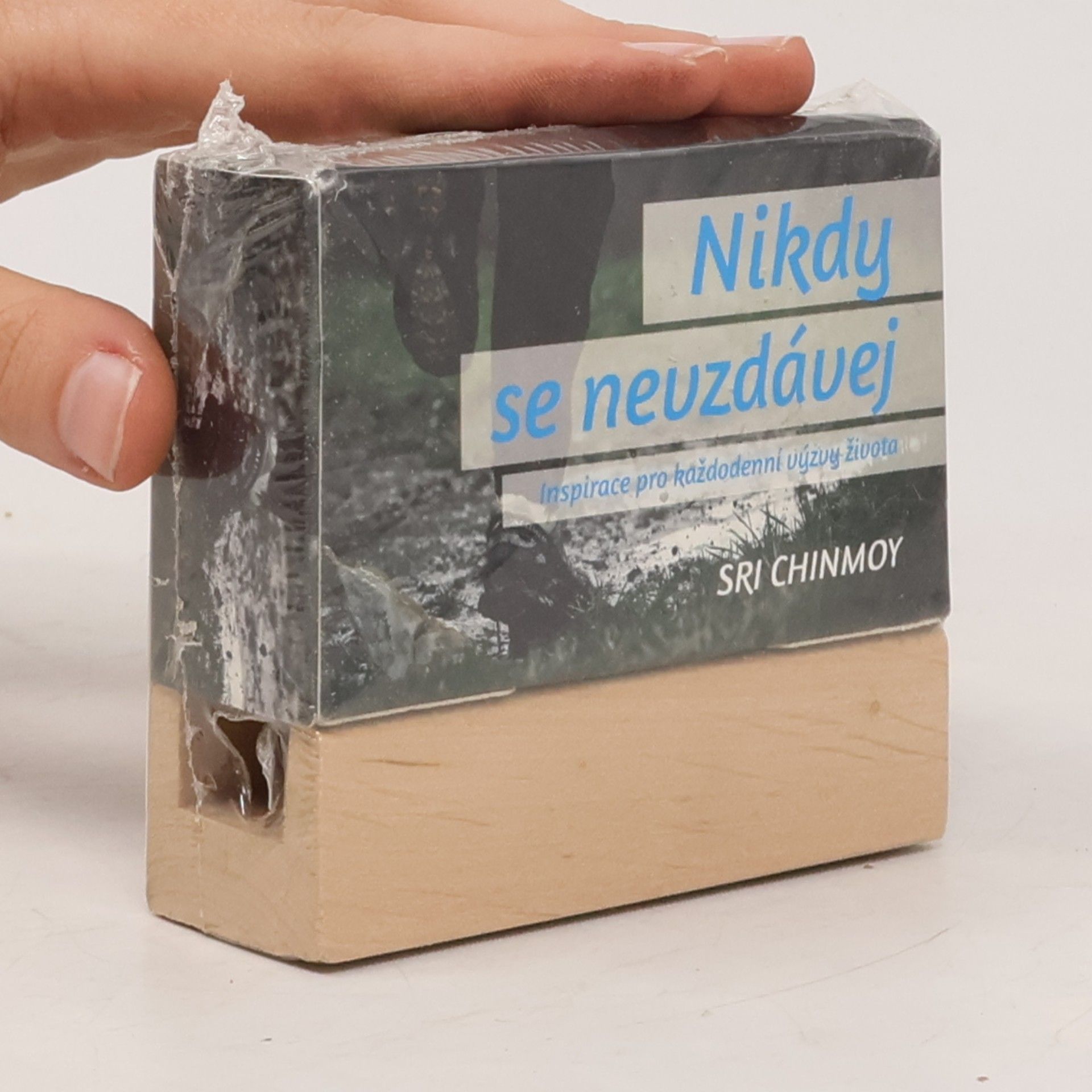 Sri Chinmoy Nikdy se nevzdávej - s dřevěným stojánkem