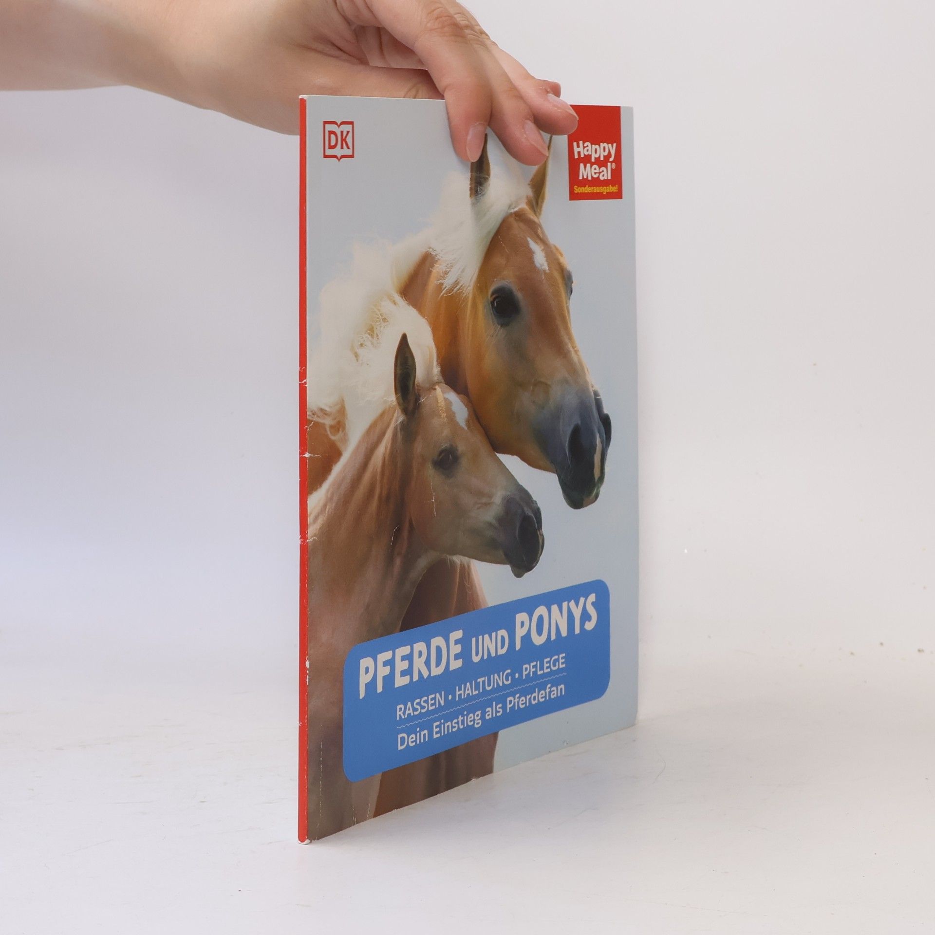 Autorenkollektiv Pferde und Ponys