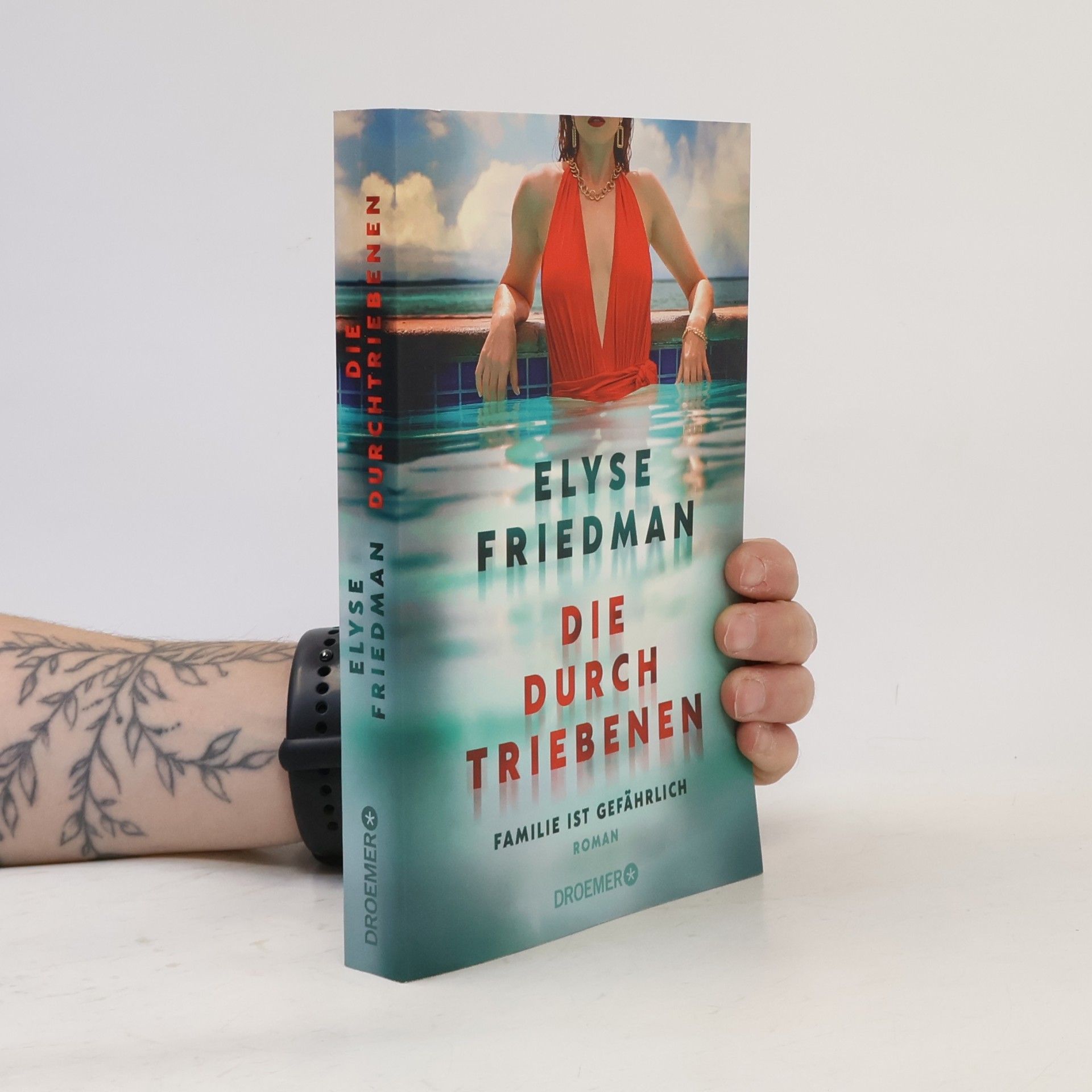 Elyse Friedman Die Durchtriebenen. Familie ist gefährlich. Roman | Bitter-böser Familien-Thriller aus Kanada