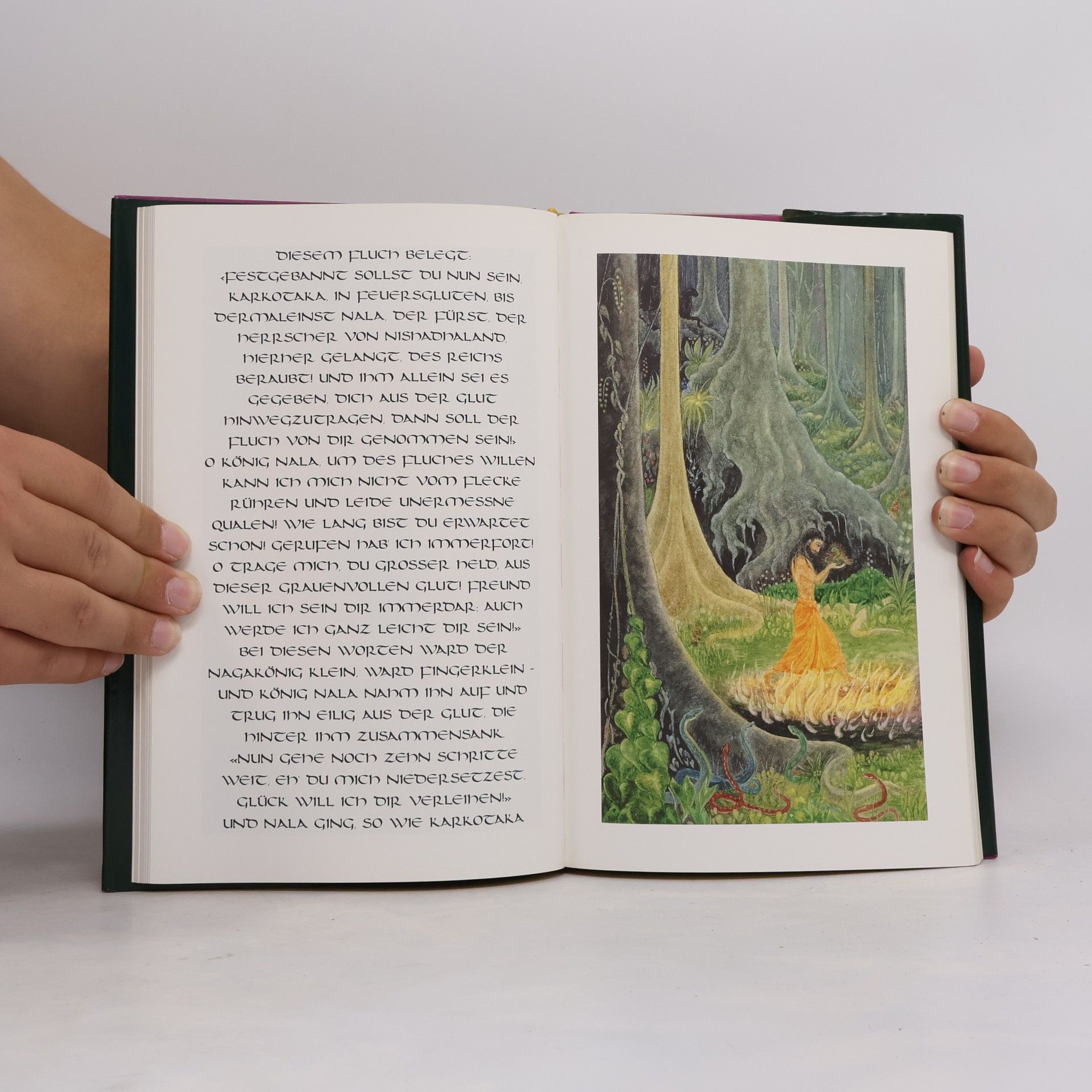 Autorenkollektiv Nala und Damayanti