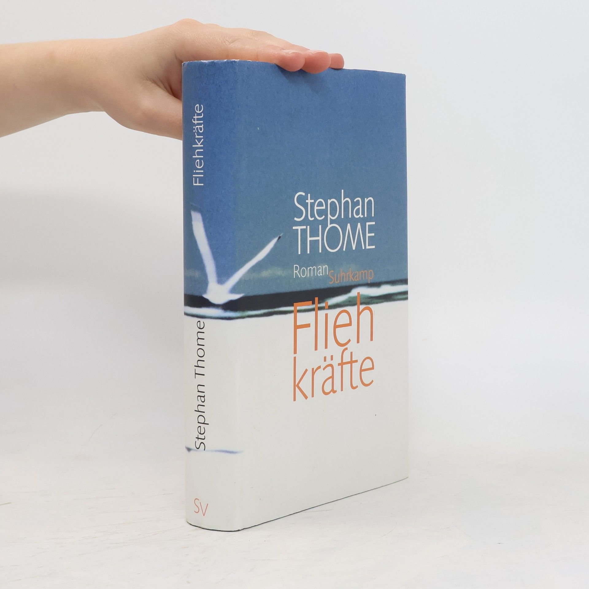 Stephan Thome Fliehkräfte