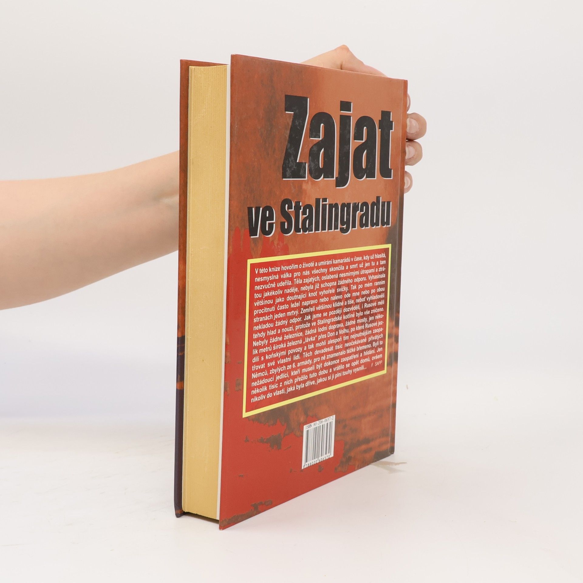 Franz Sapp Zajat ve Stalingradu. Dramatický osud německého vojáka 1943-1946