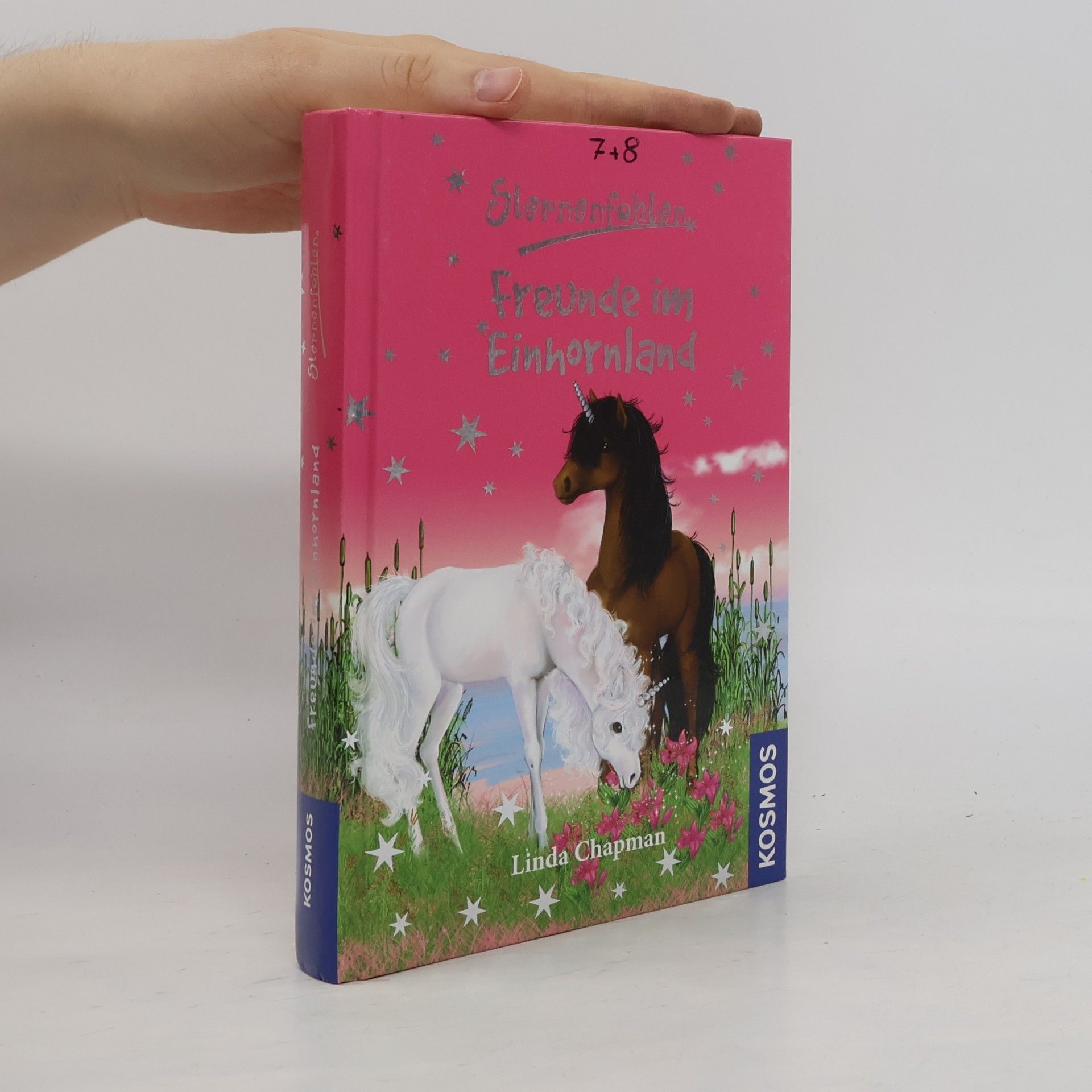 Linda Champan Sternenfohlen - Freunde im Einhornland