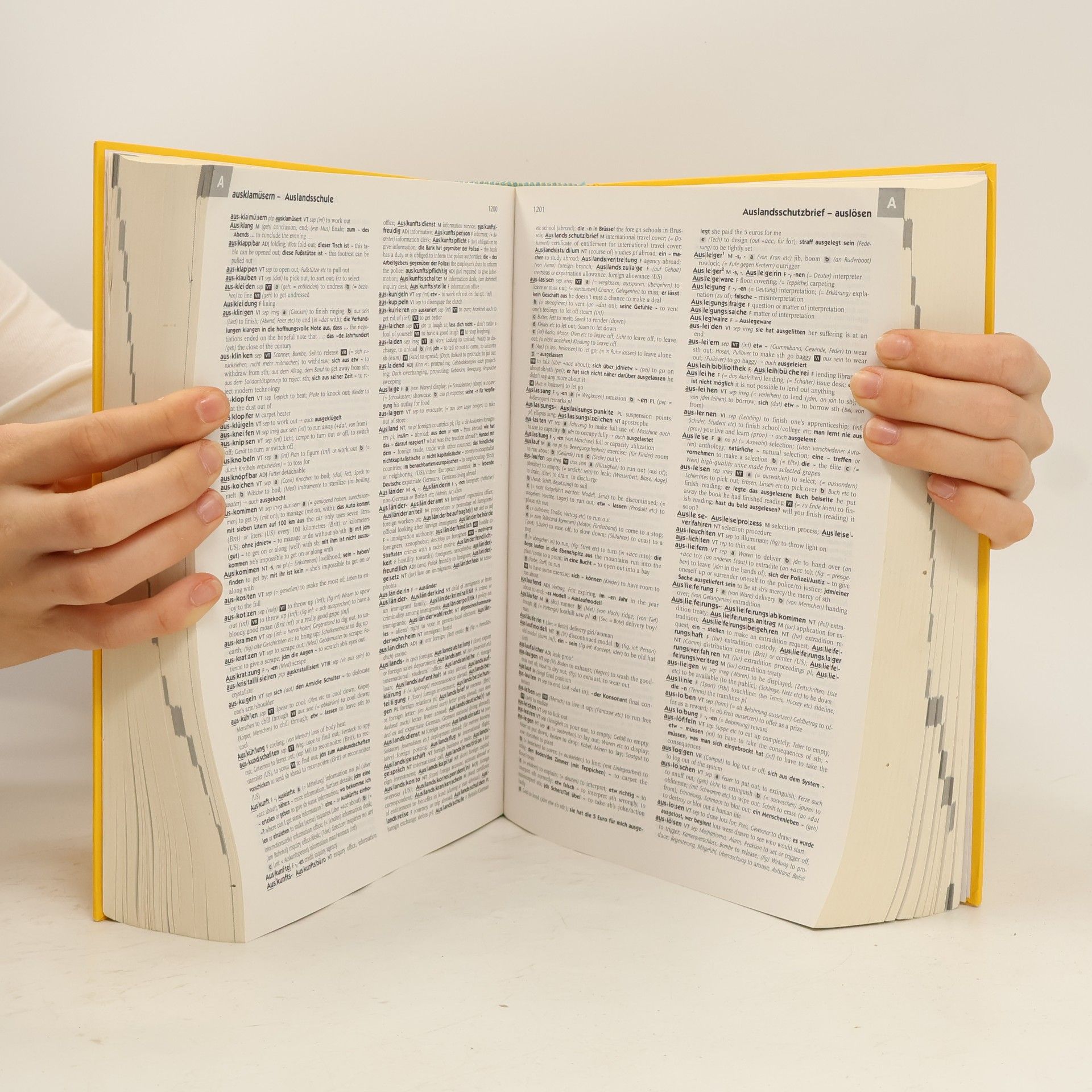 Lorna Sinclair-Knight Langenscheidt, Collins, großes Studienwörterbuch Englisch