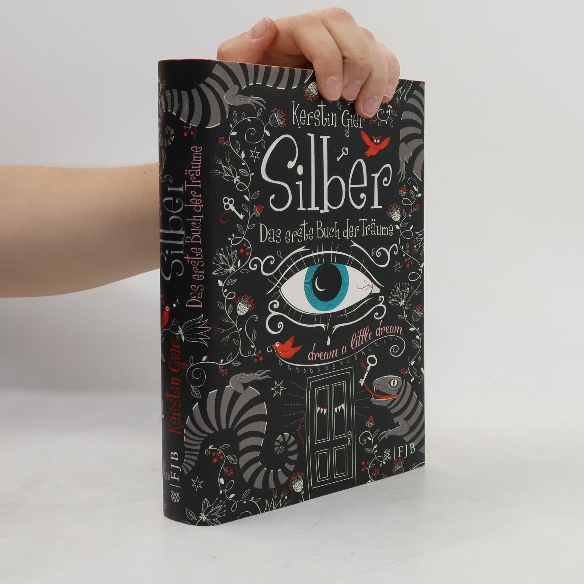 Kerstin Gier Silber. Das erste Buch der Träume