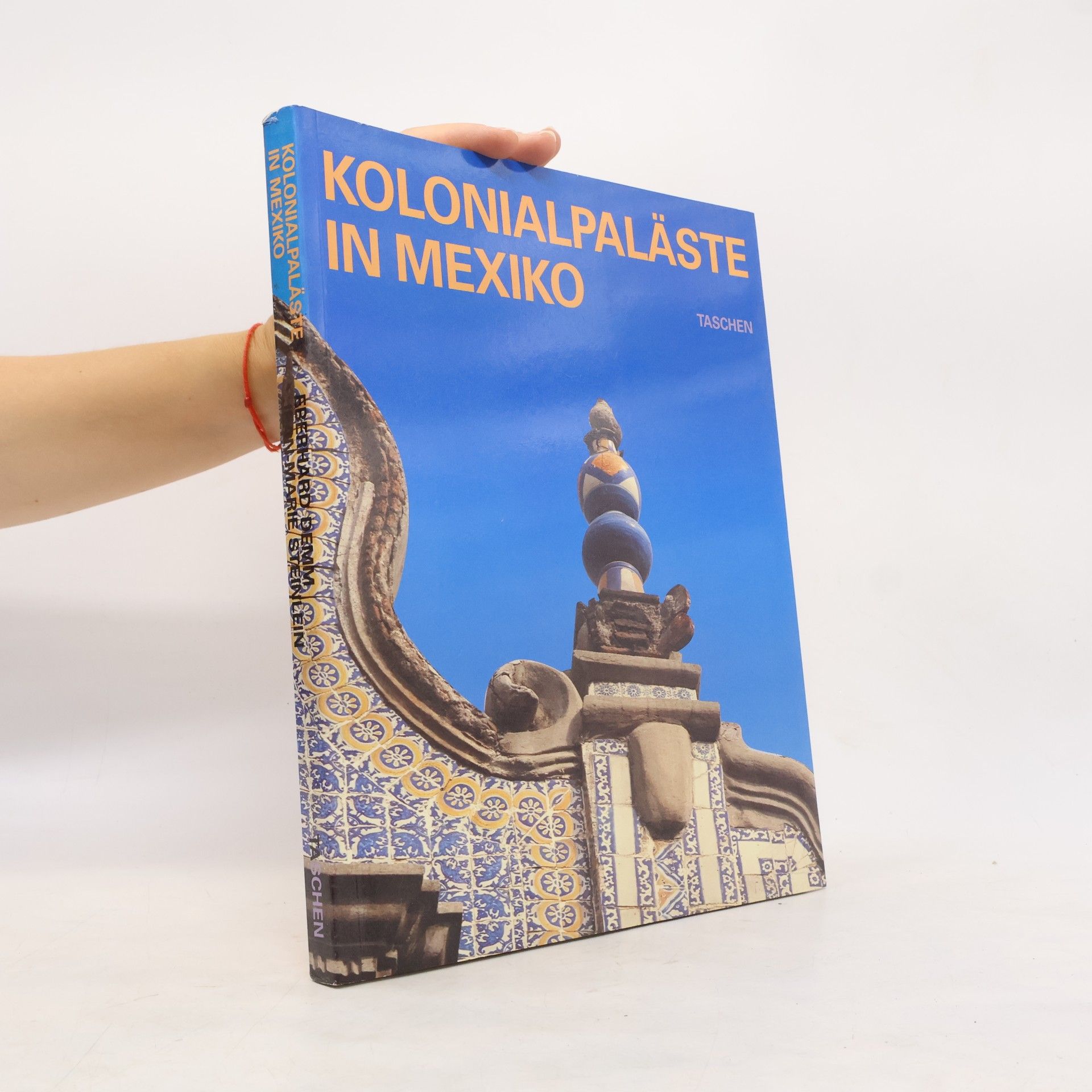 Eberhard Demm Spanische Kolonialpaläste in Mexiko