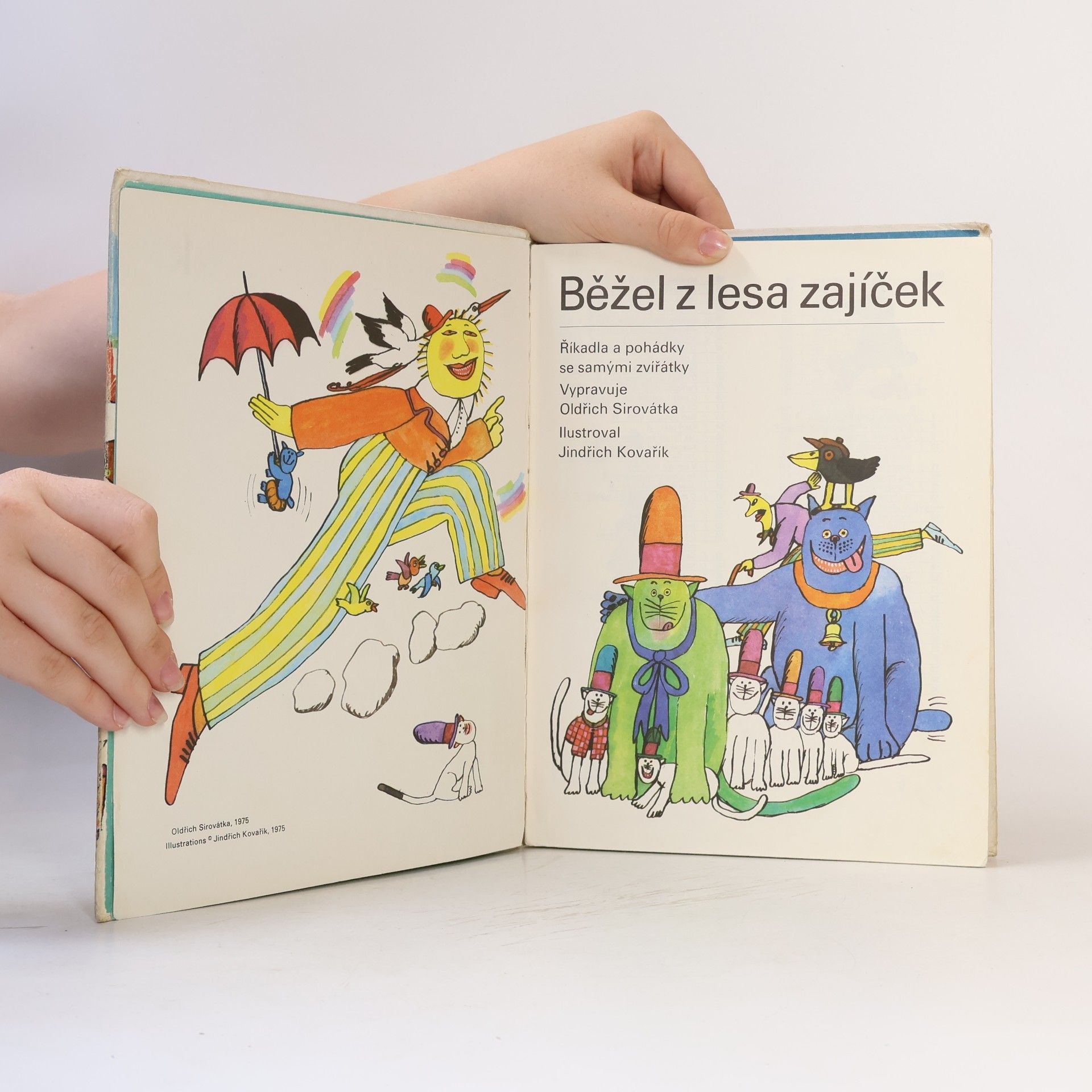 Oldřich Sirovátka Běžel z lesa zajíček