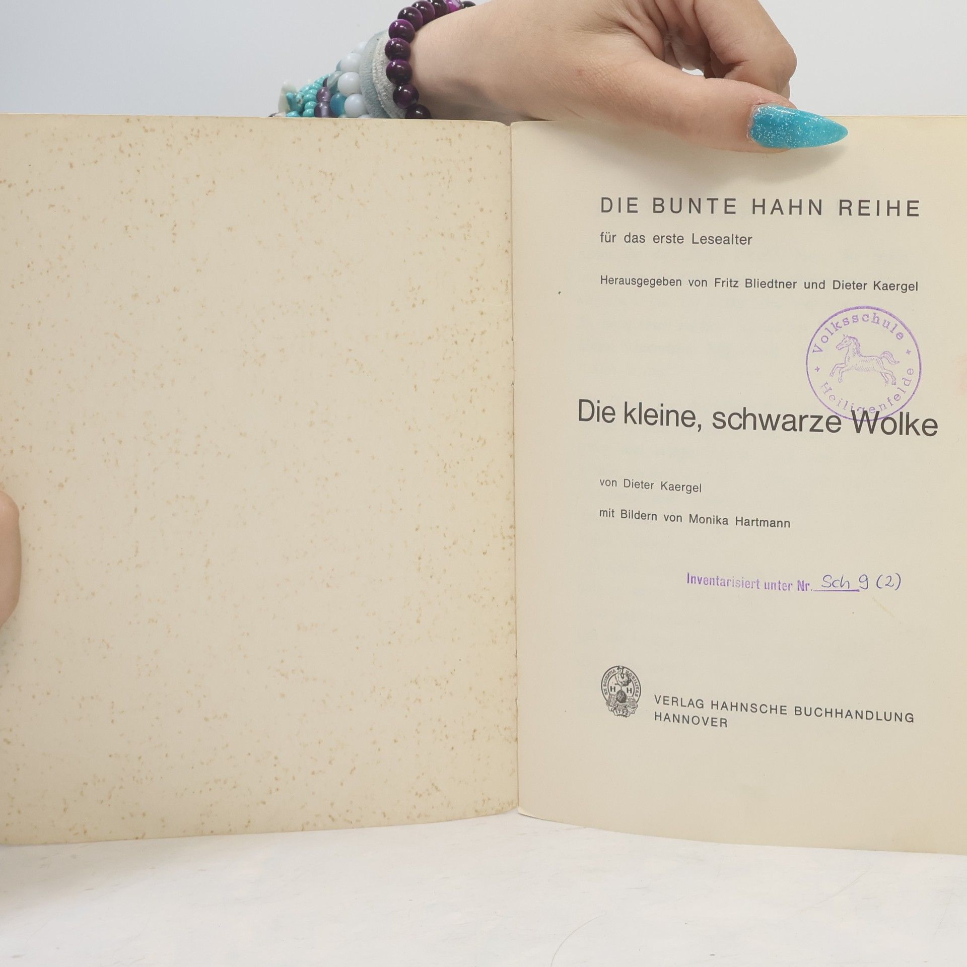 Dieter Kaergel Die kleine schwarze Wolke