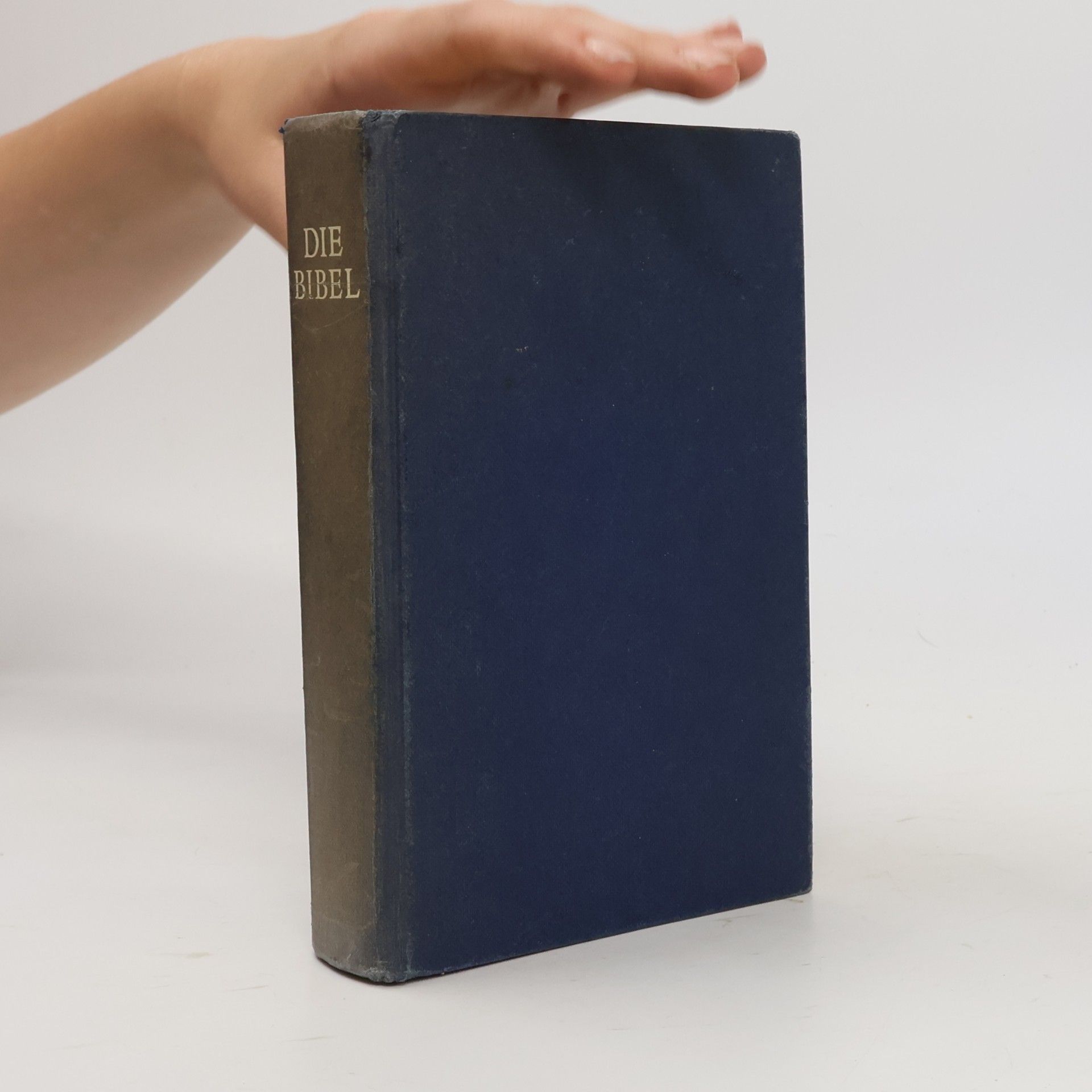 Kolektiv autorů Die Bibel