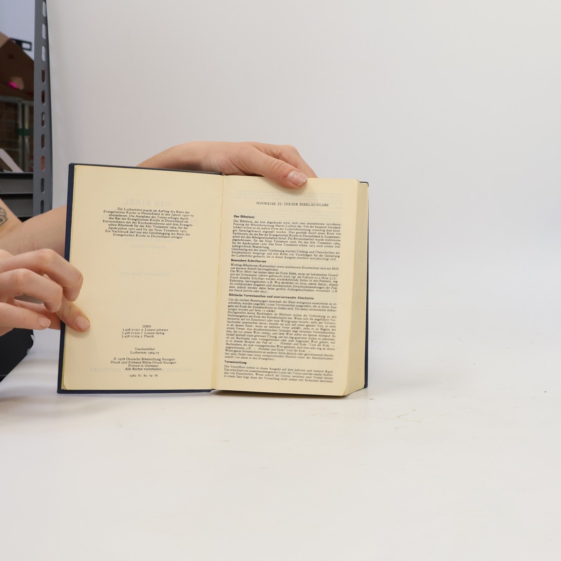Kolektiv autorů Die Bibel