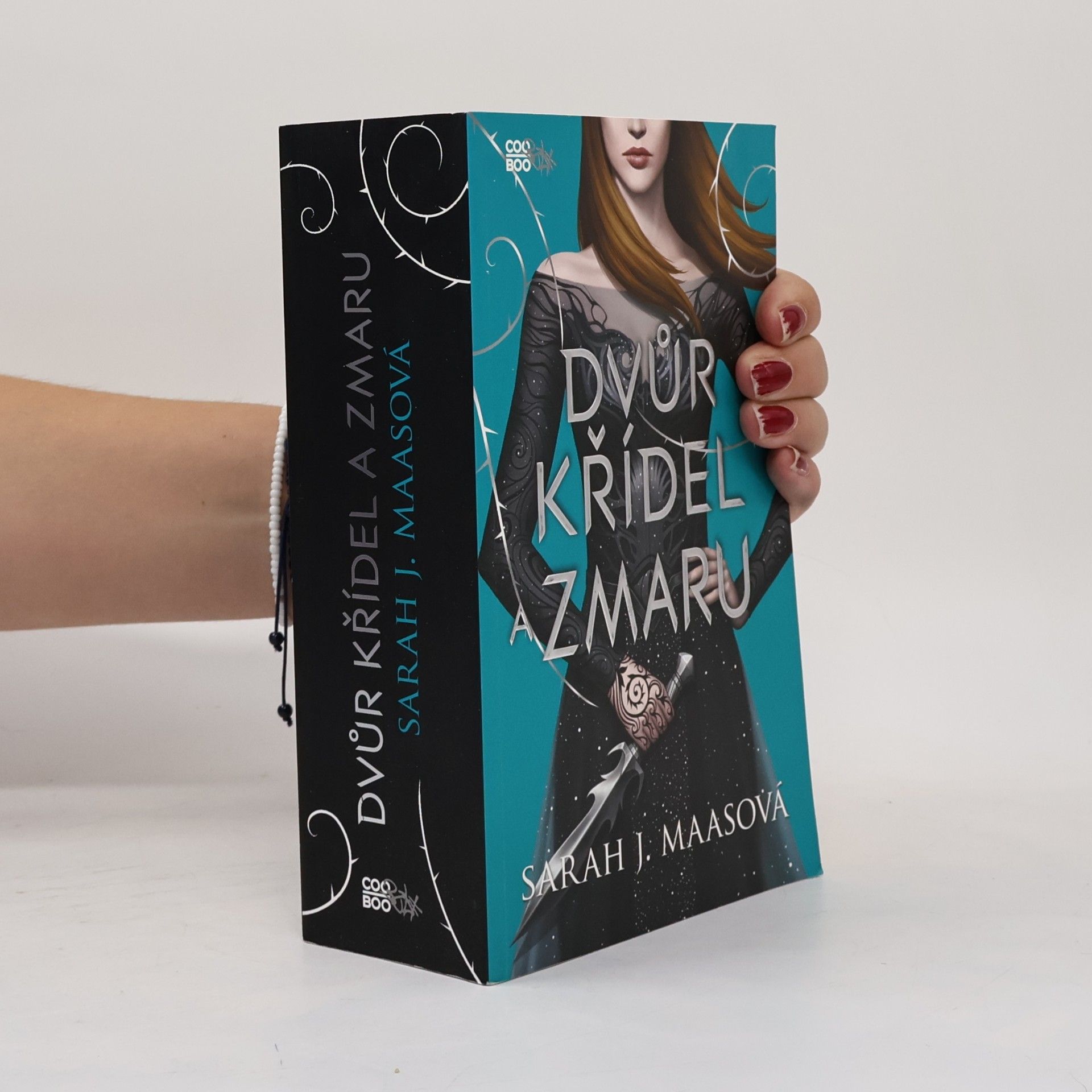 Sarah J. Maasová Dvůr křídel a zmaru