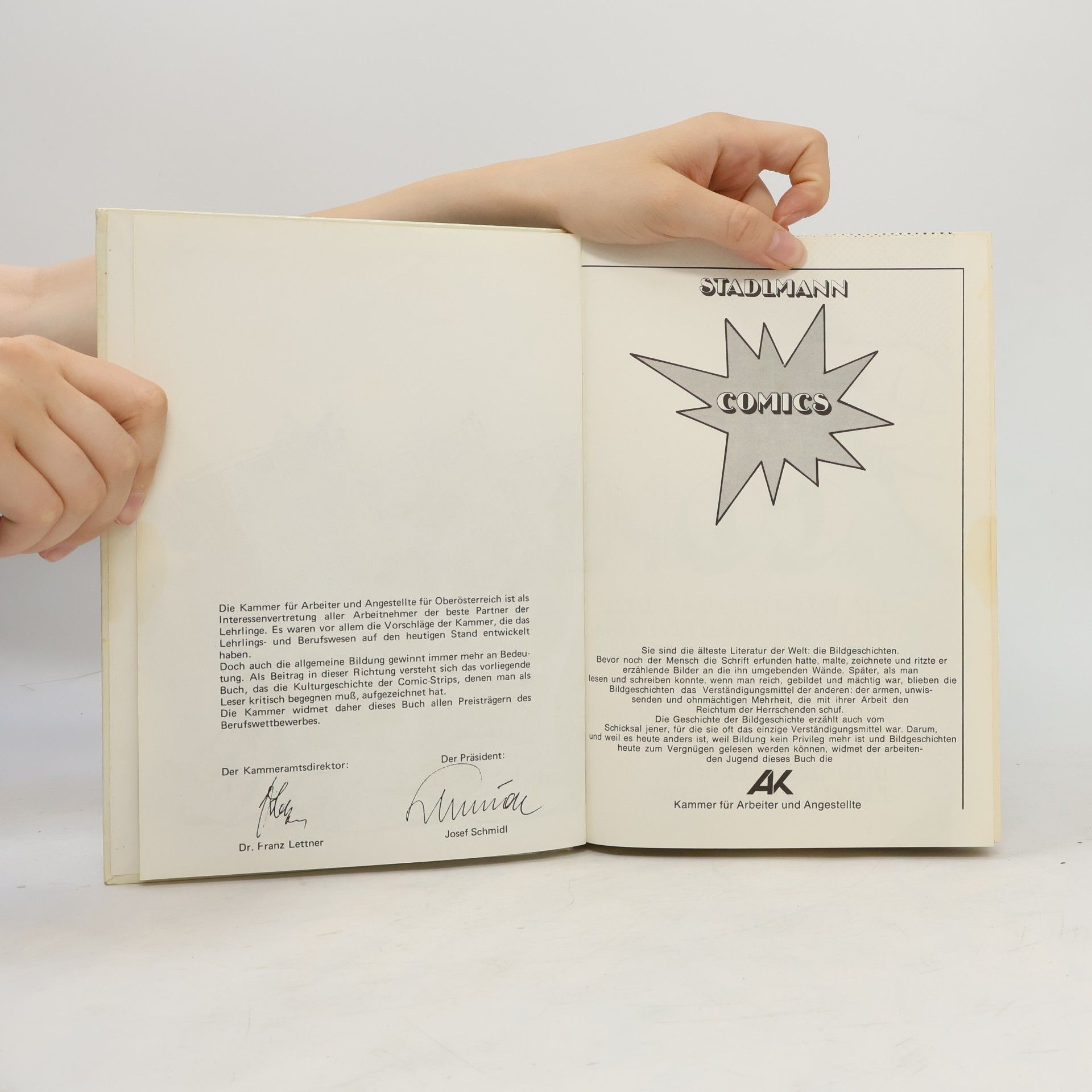 Collectif d'auteurs Stadlmann Comics