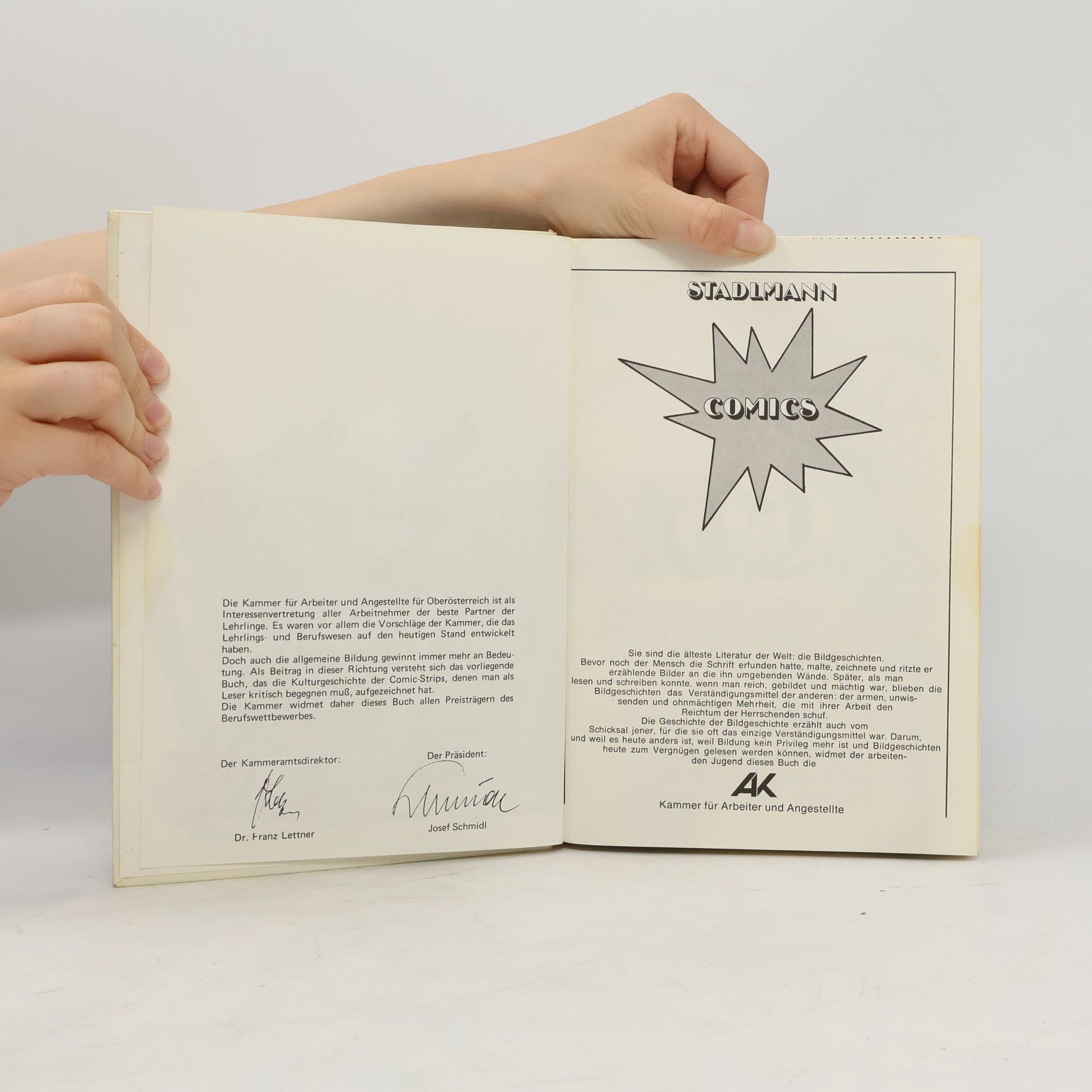 Collectif d'auteurs Stadlmann Comics