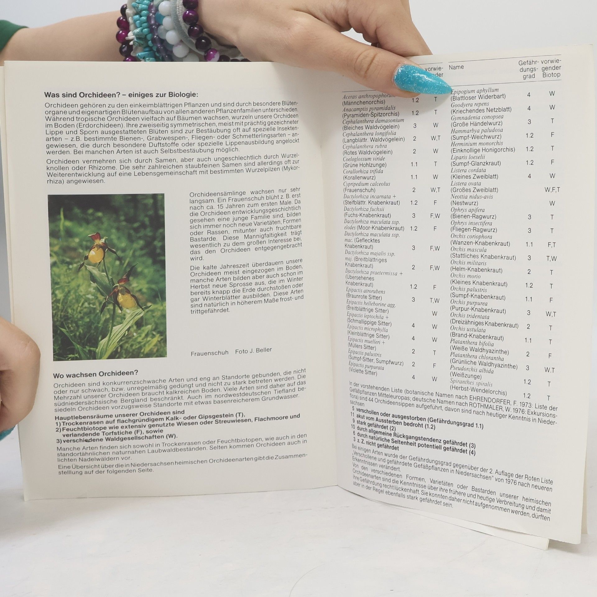 Autores varios Hochmoore in Niedersachsen