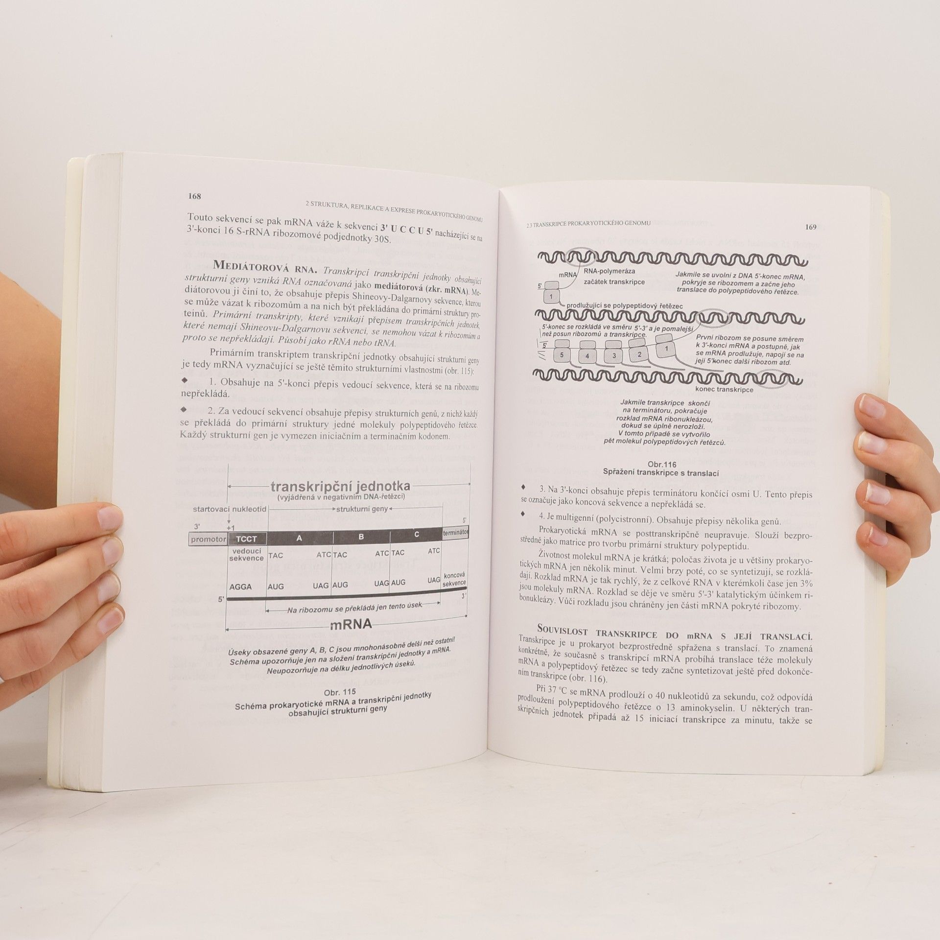 Stanislav Rosypal Úvod do molekulární biologie – Díl první