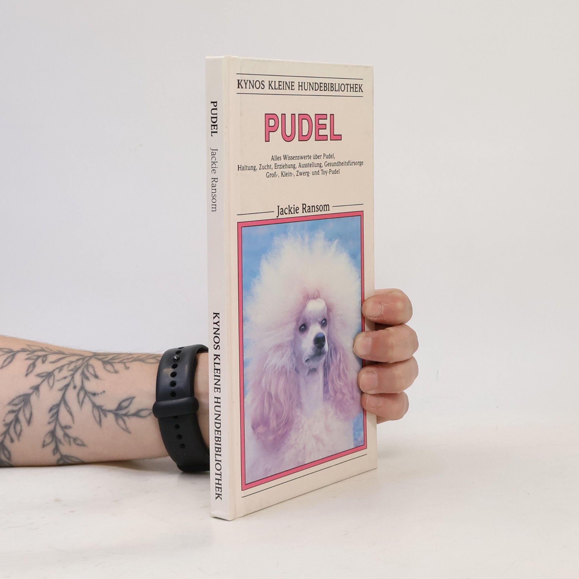 Jackie Ransom Pudel
