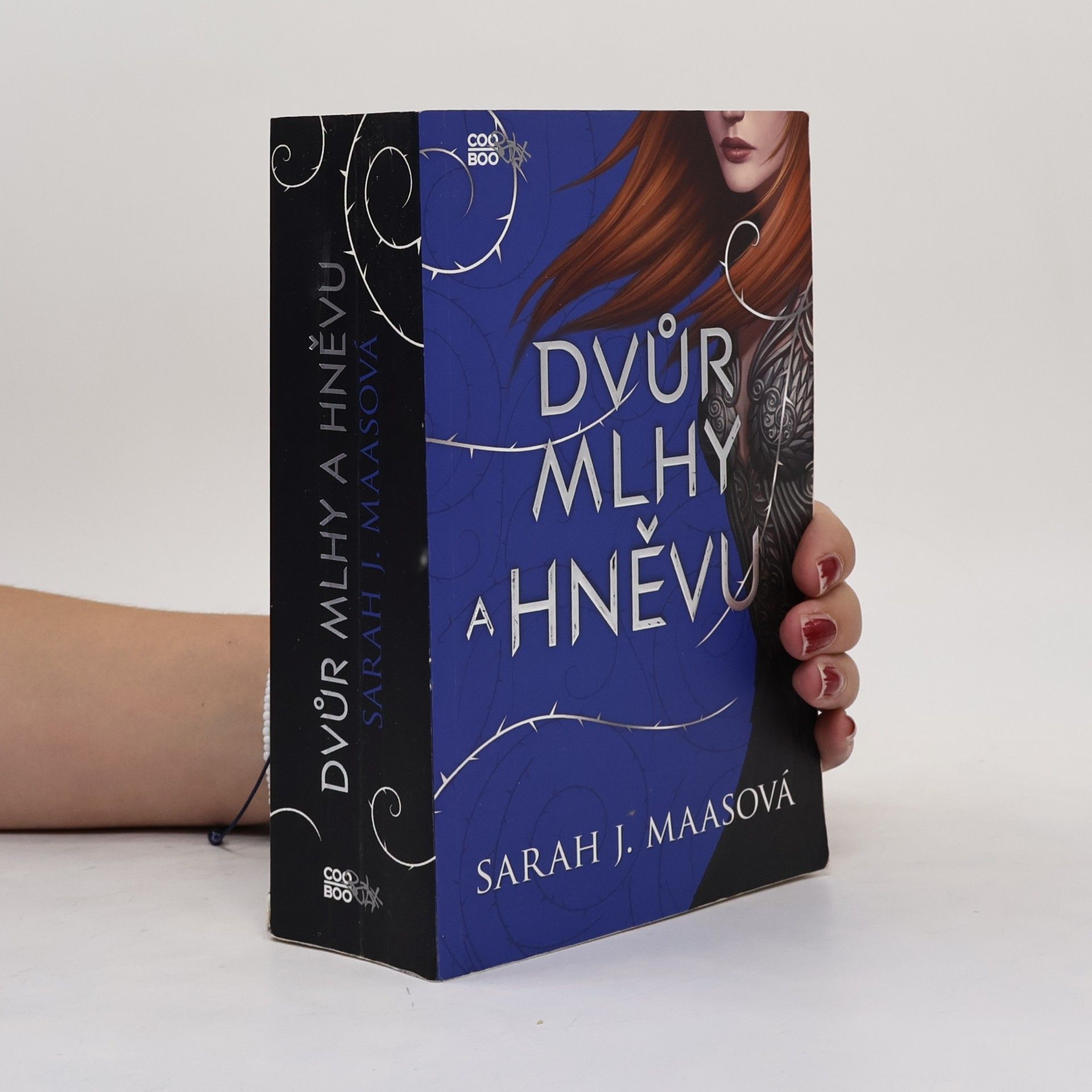 Sarah J. Maas Dvůr mlhy a hněvu