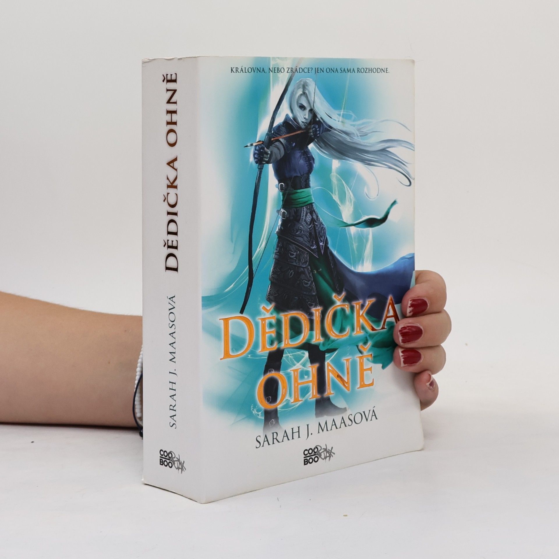 Sarah J. Maas Dědička ohně