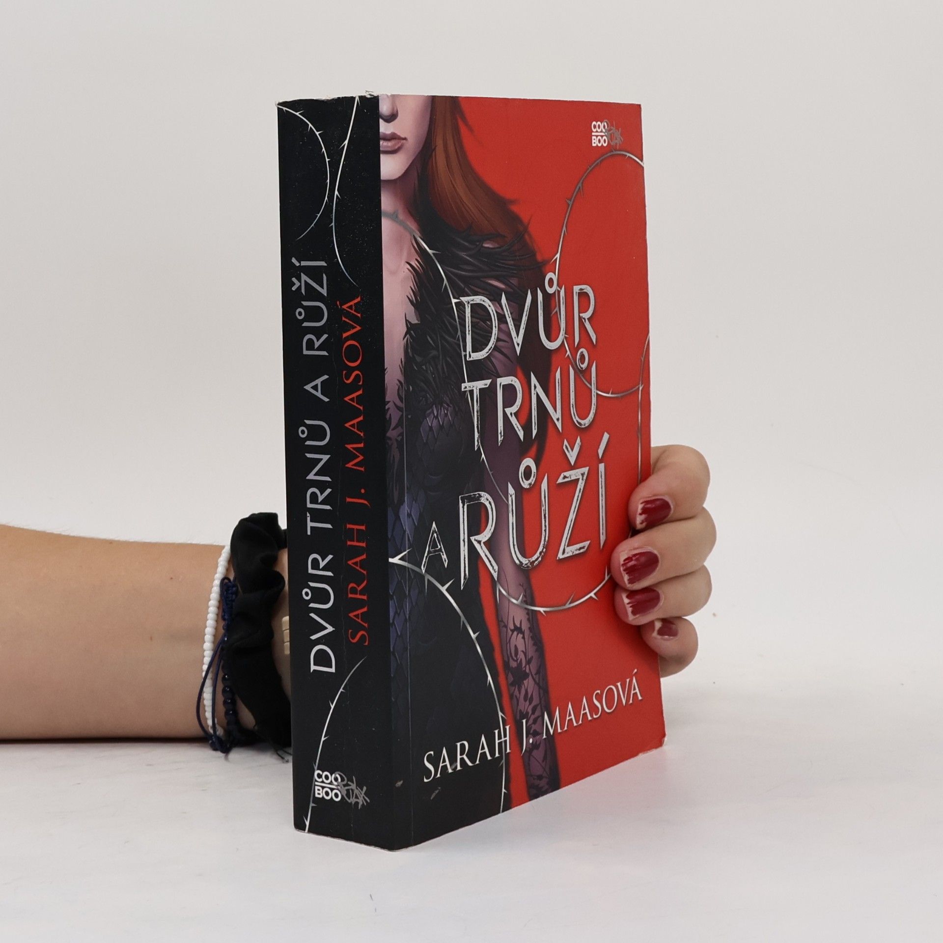Sarah J. Maas Dvůr trnů a růží