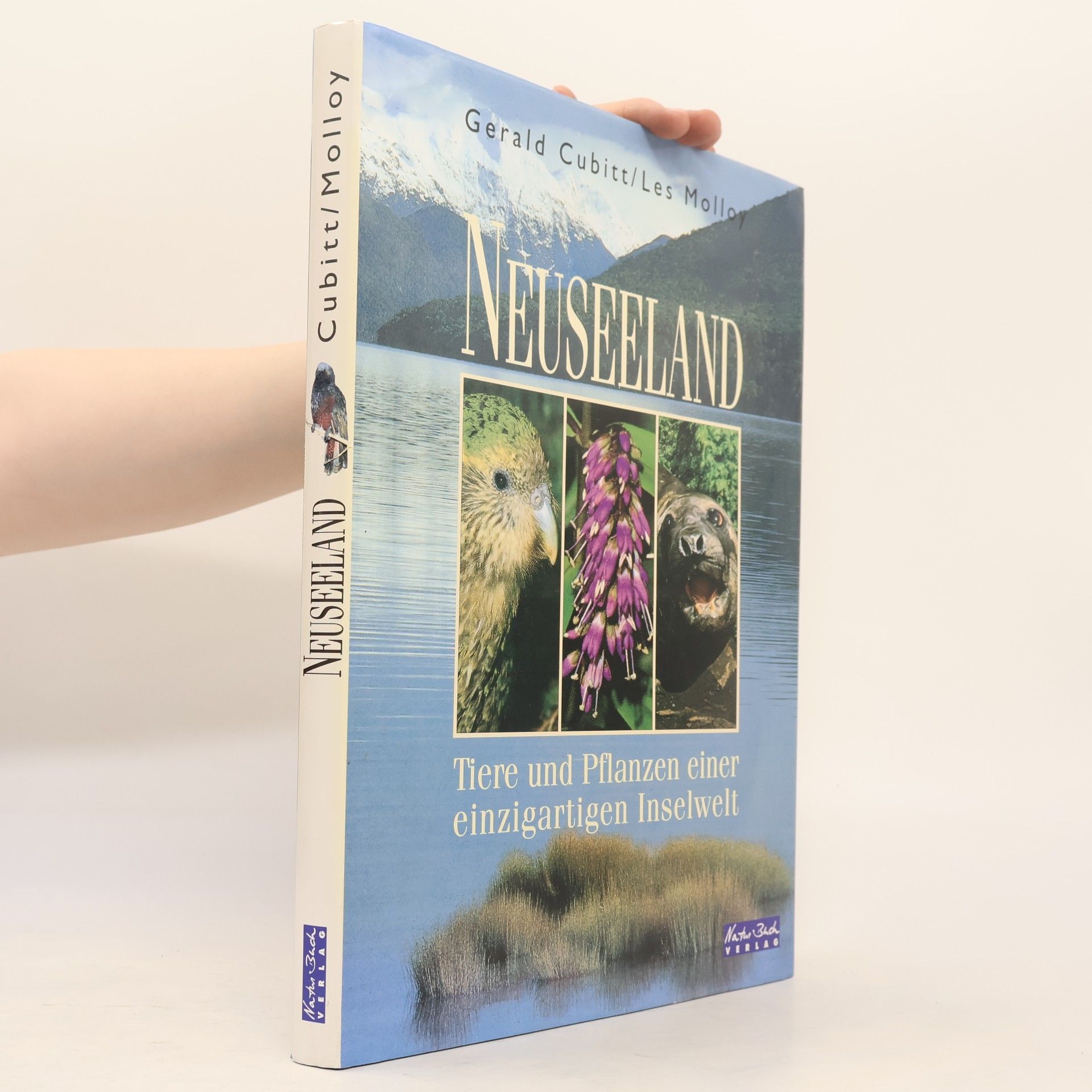 Gerald Cubitt Neuseeland