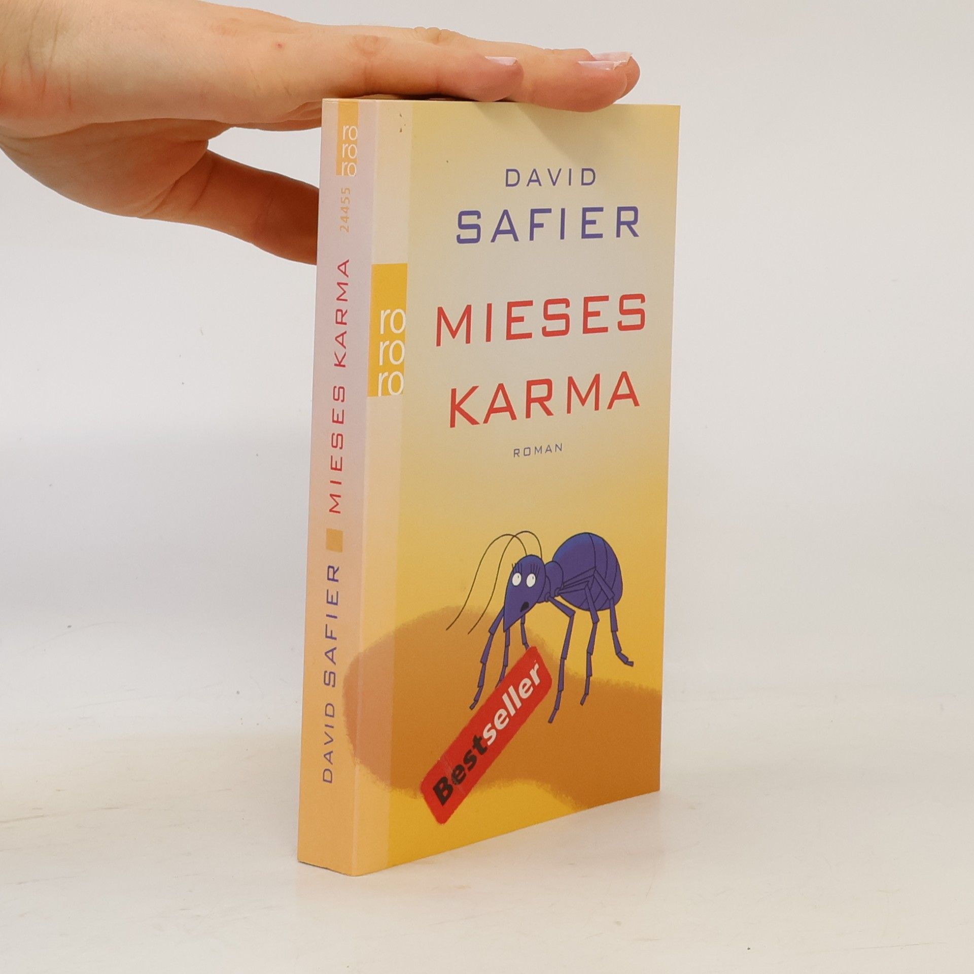 David Safier Mieses Karma