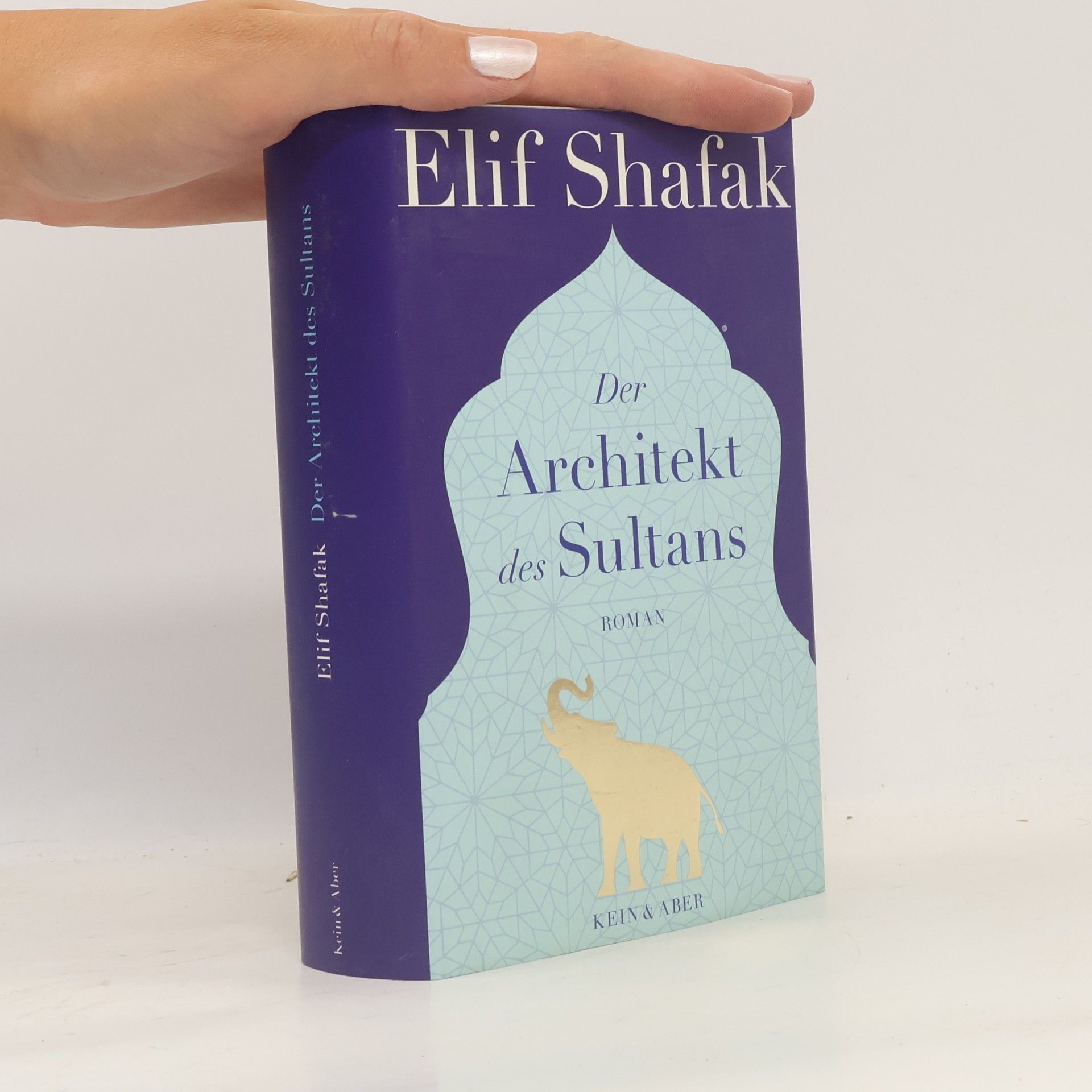 Elif Shafak Der Architekt des Sultans
