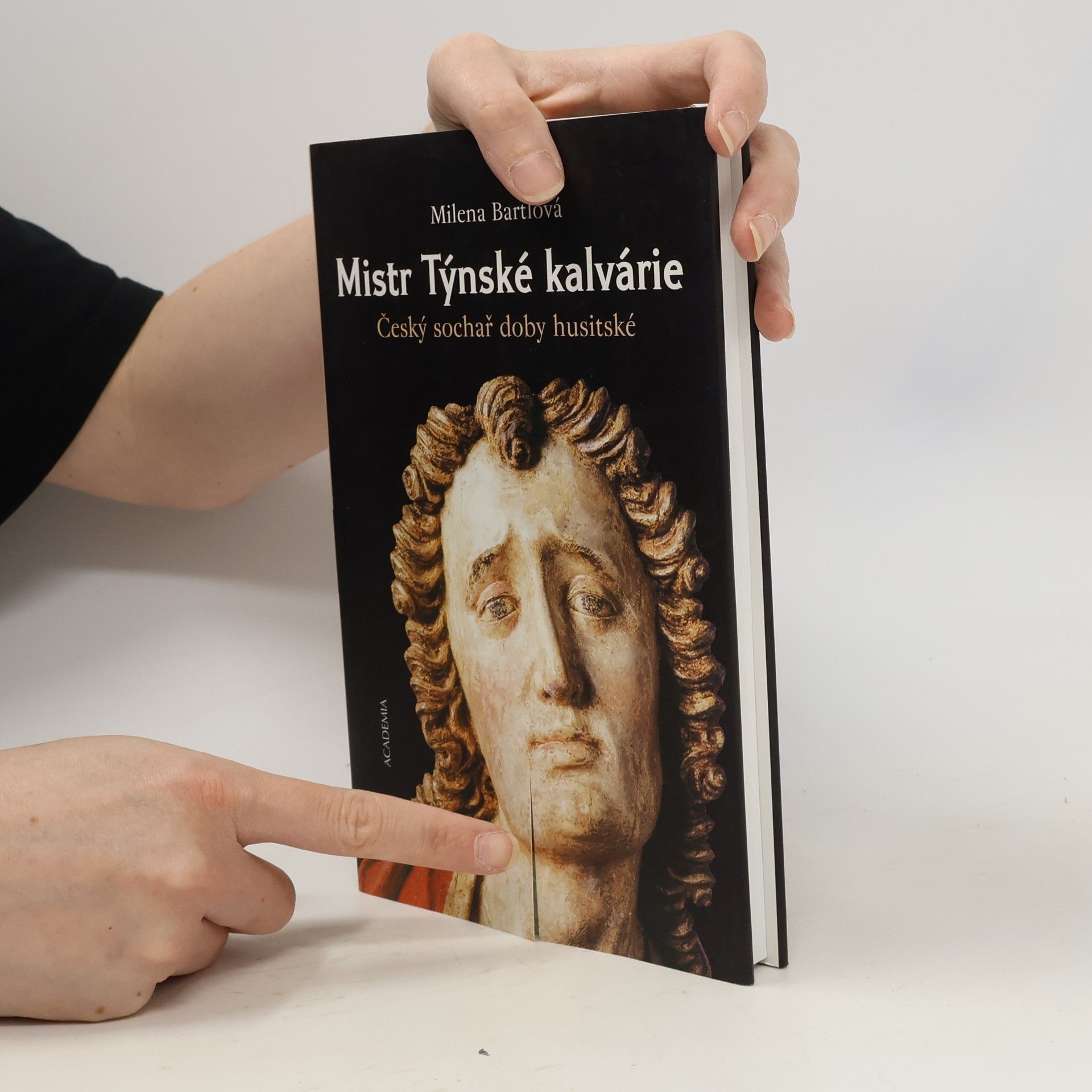 Milena Bartlová Mistr Týnské kalvárie : český sochař doby husitské