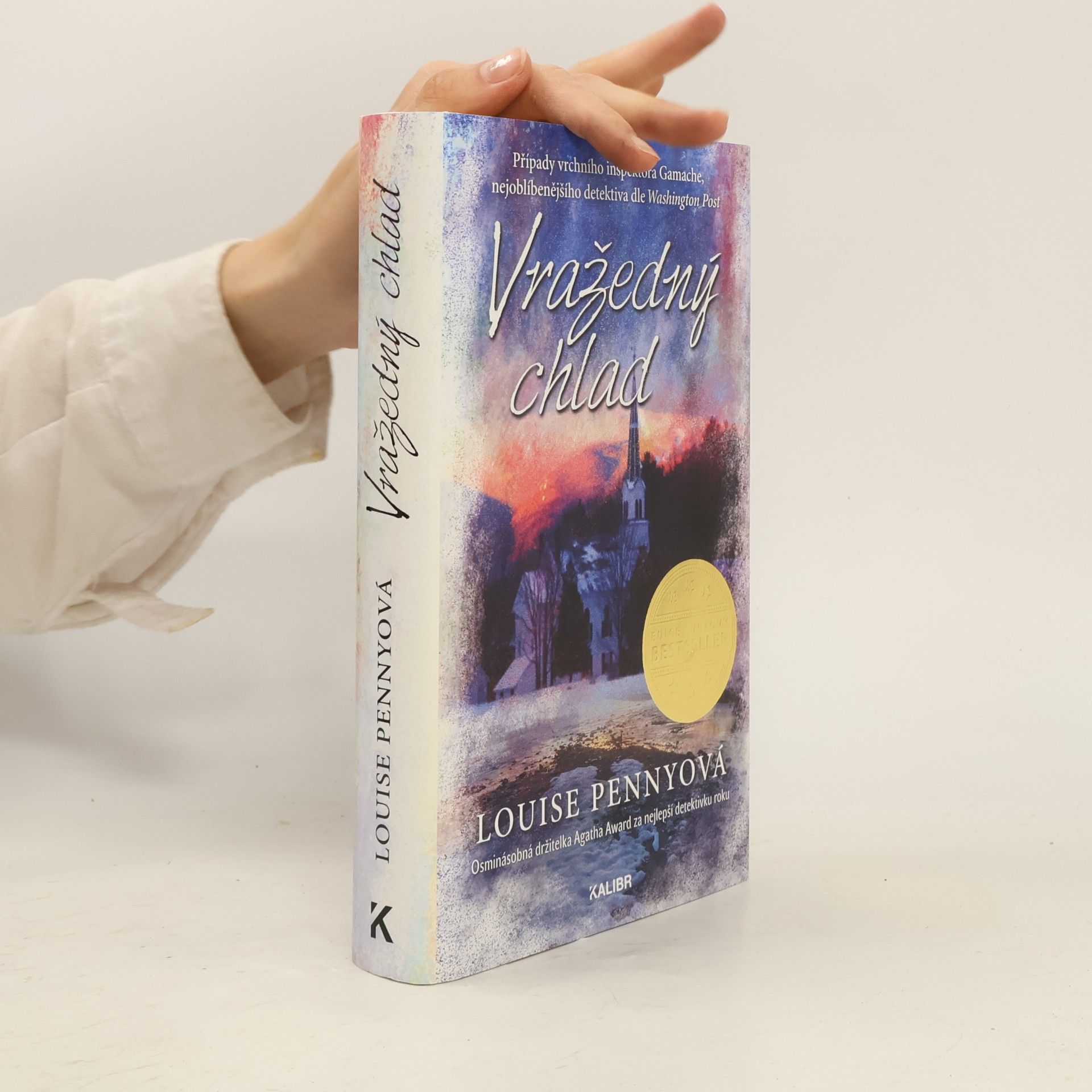 Louise Penny Vražedný chlad