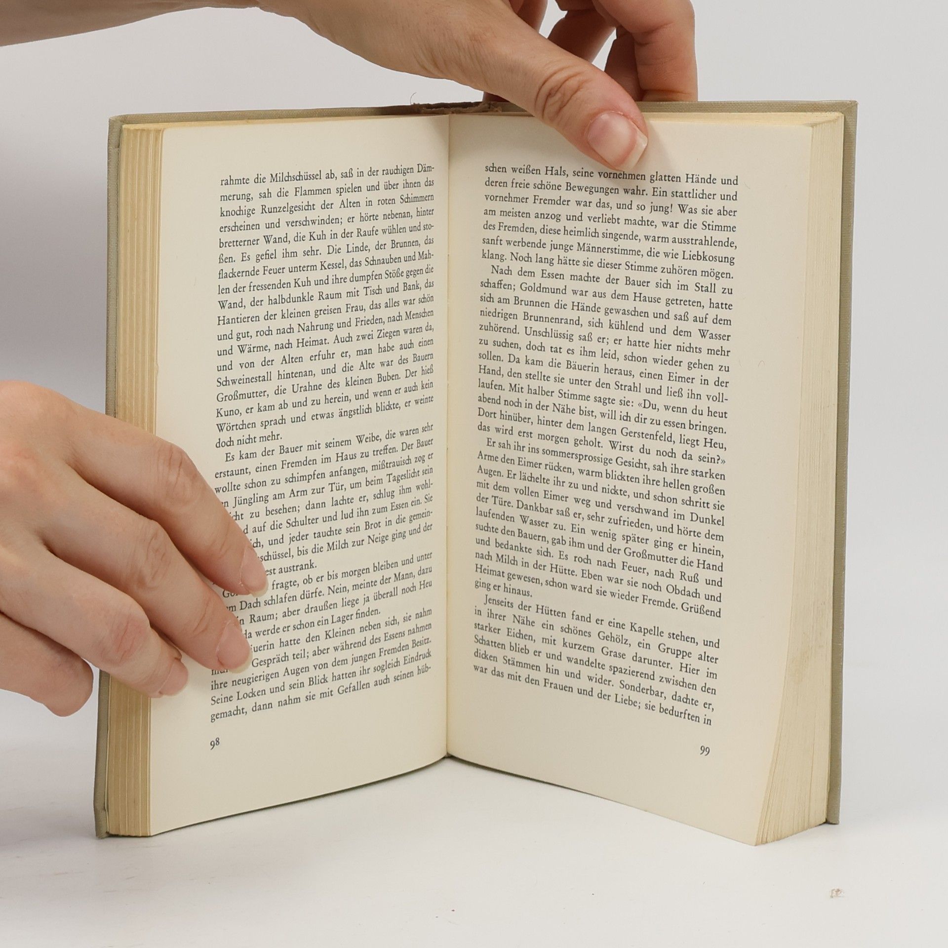Hermann Hesse Narziss und Goldmund