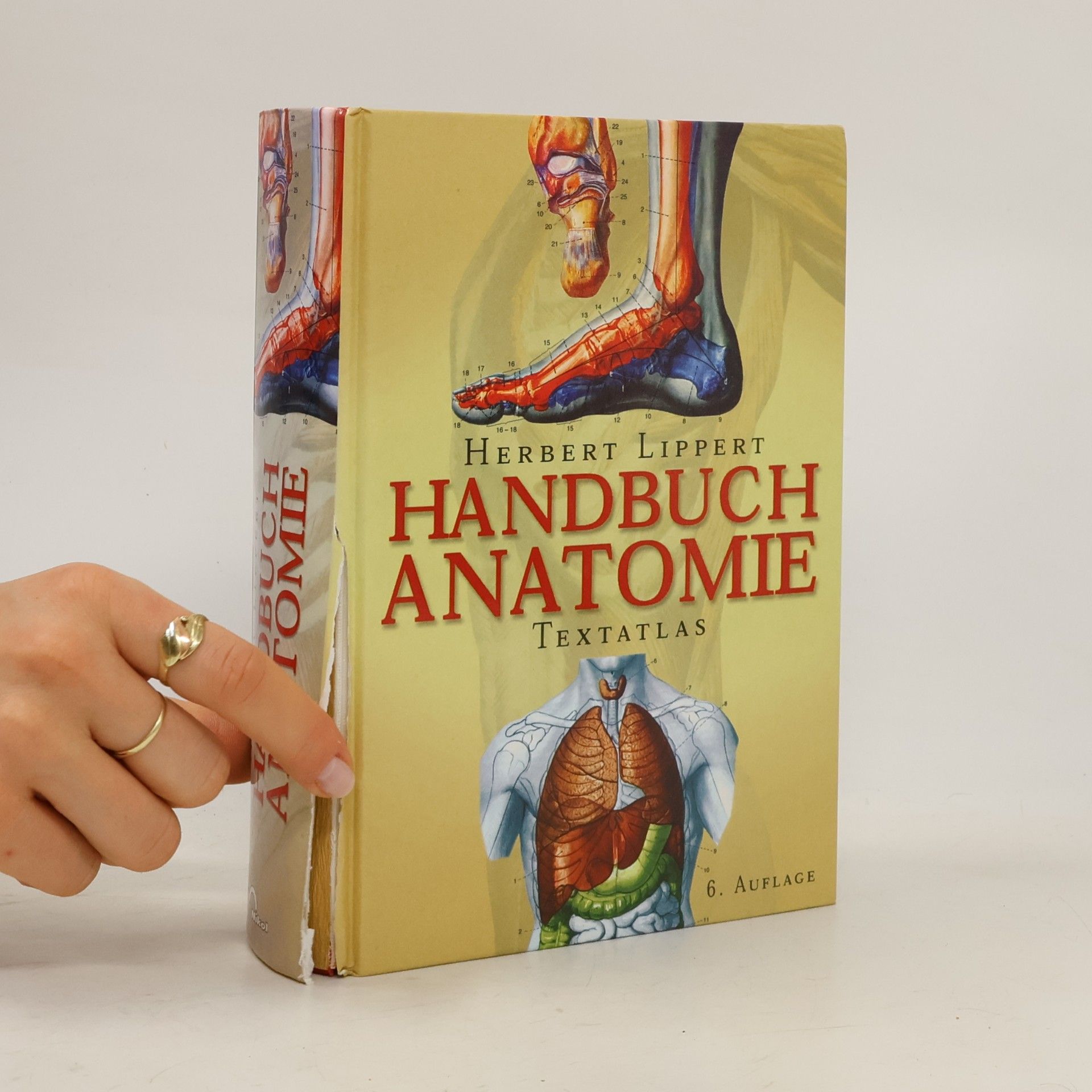 Herbert Lippert Handbuch Anatomie