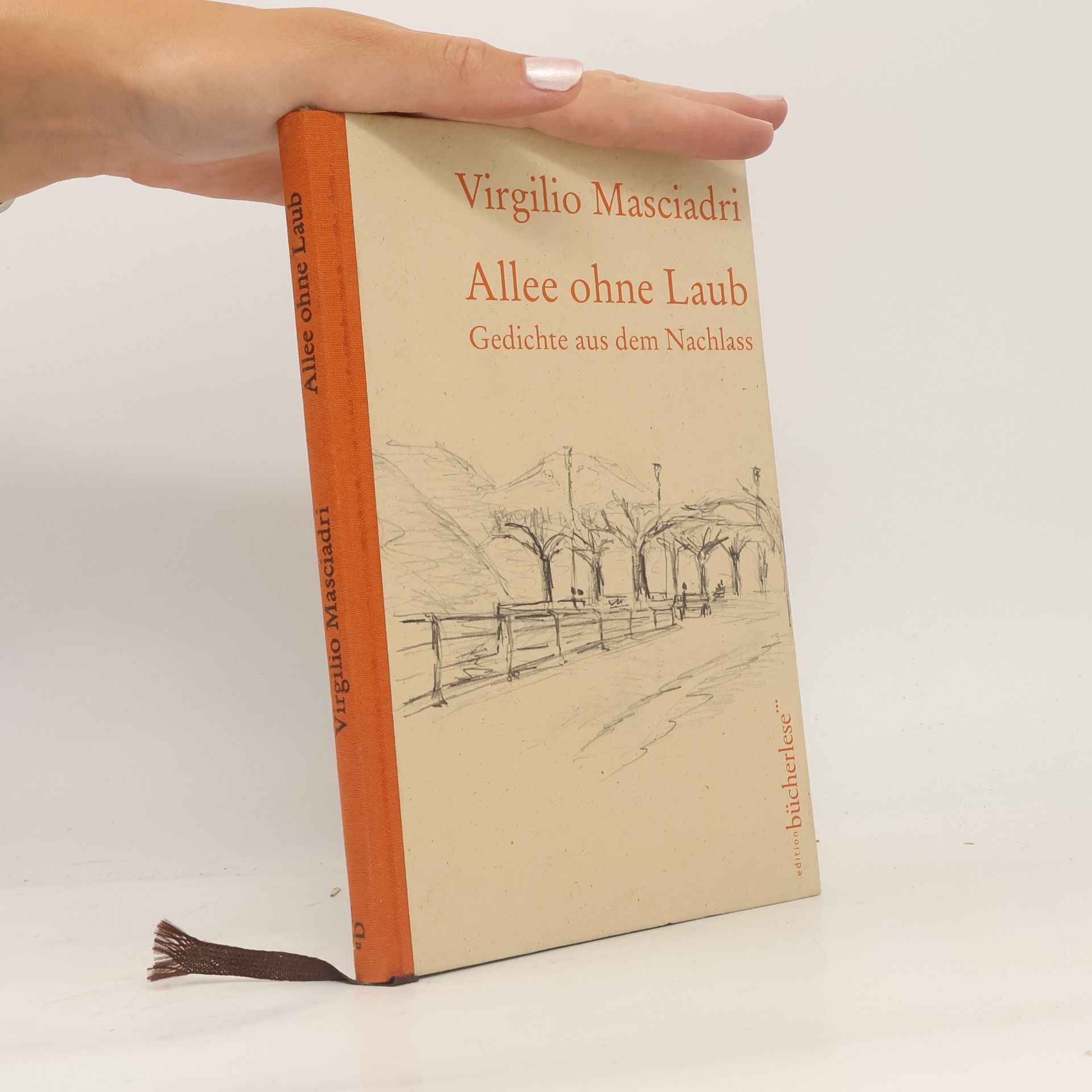 Virgilio Masciadri Allee ohne Laub