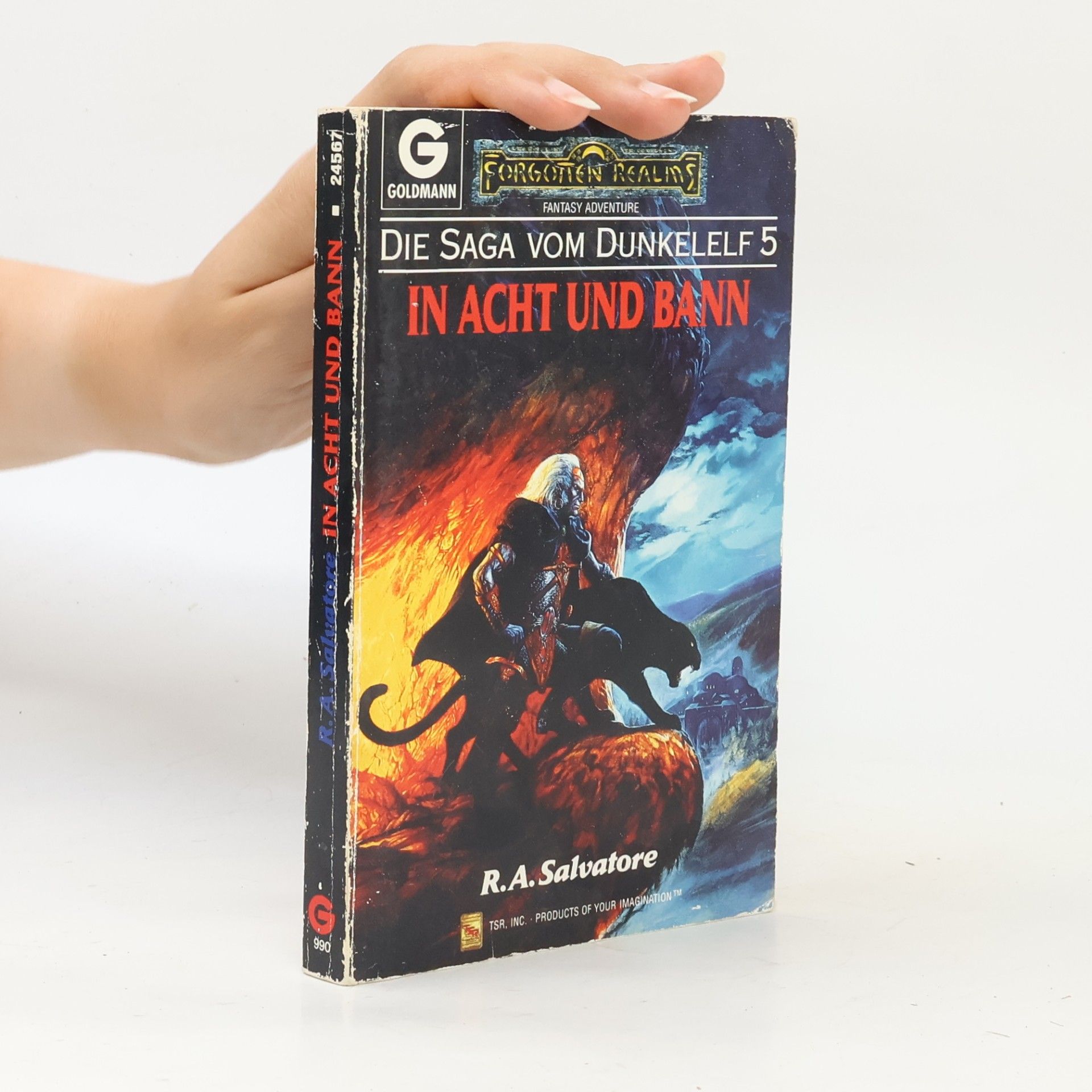 R. A. Salvatore In Acht und Bann. Die Saga vom Dunkelelf