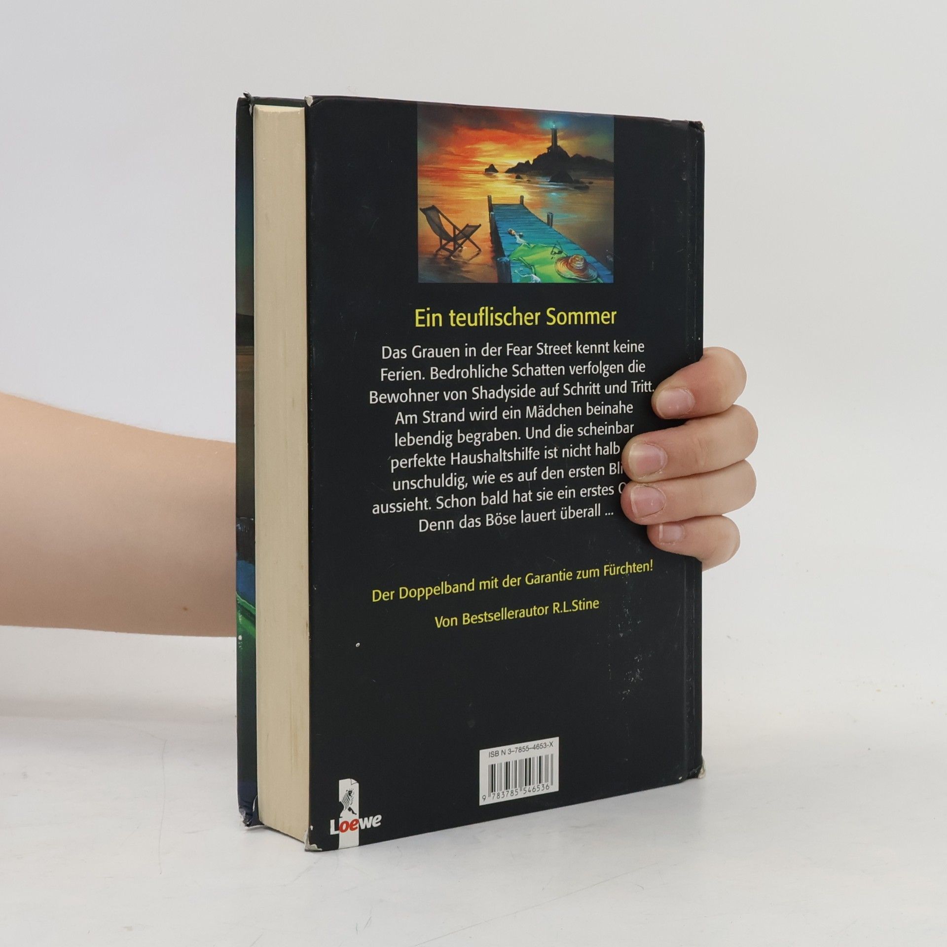 R. L. Stine Ferien des Schreckens