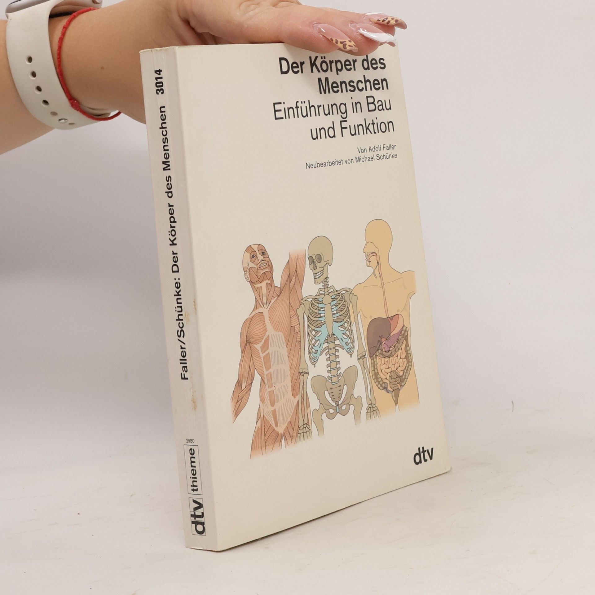 Adolf Faller Der Körper des Menschen