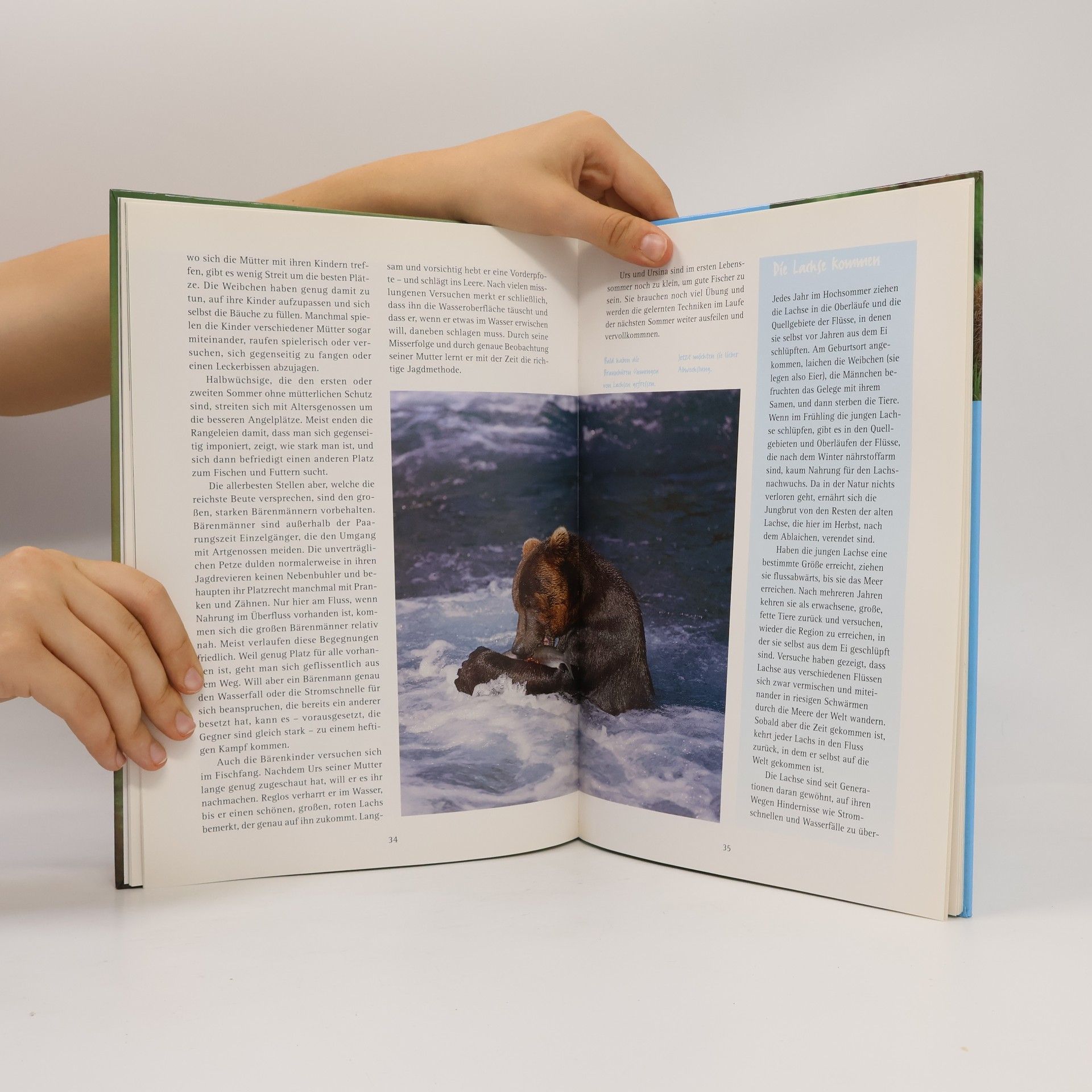 Ursula Dolder Urs der kleine Bär