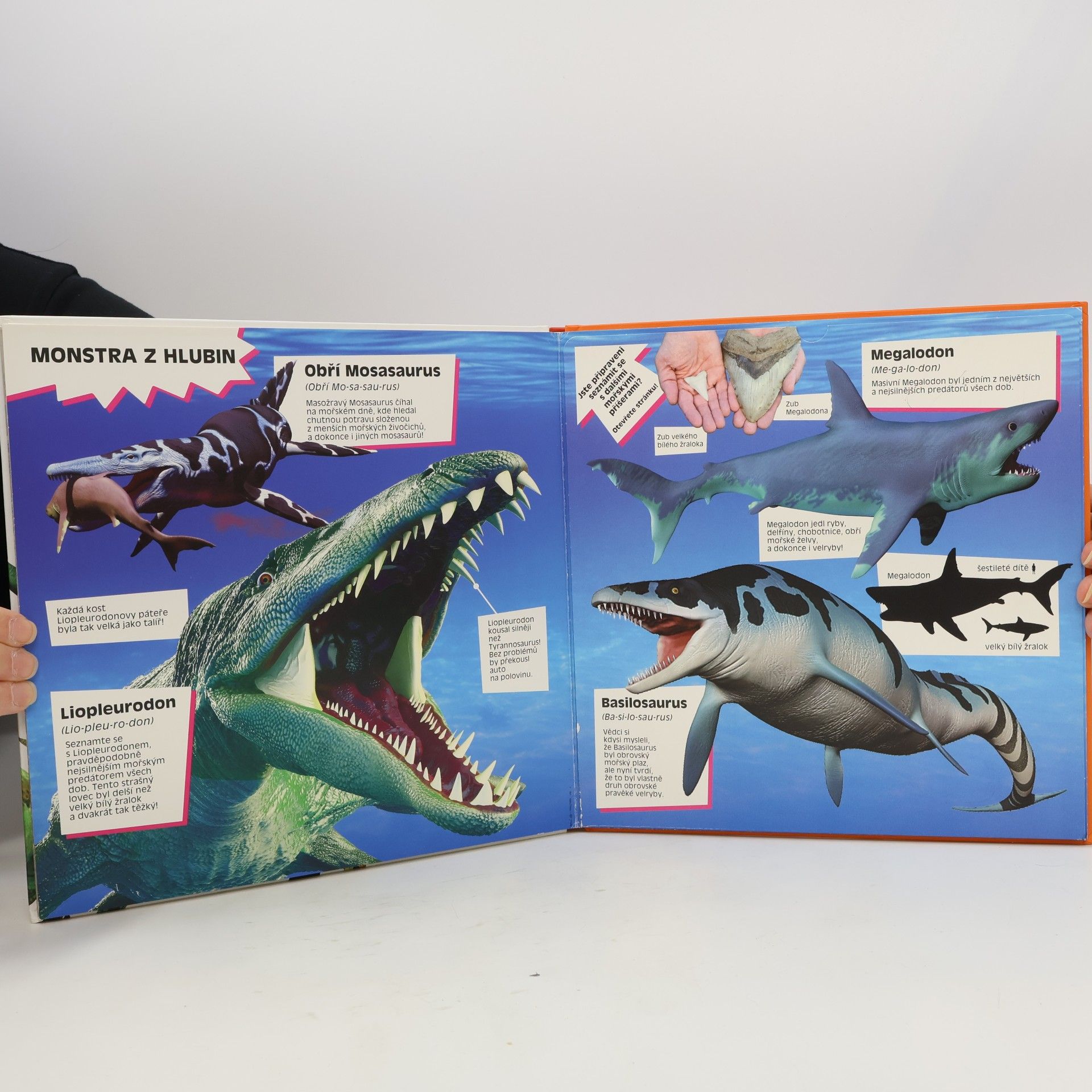 Marek Kurta Úžasní dinosauři : velké rozkládací strany plné faktů