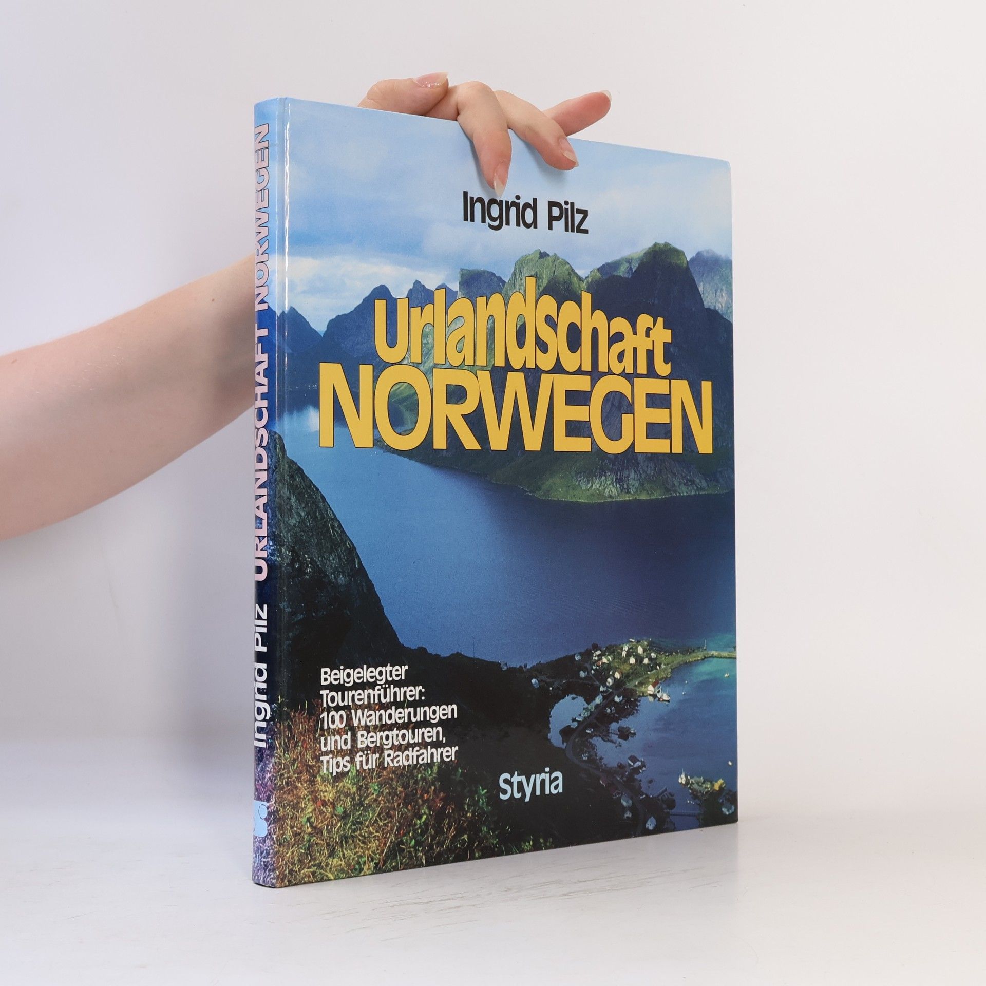 Ingrid Pilz Urlandschaft Norwegen