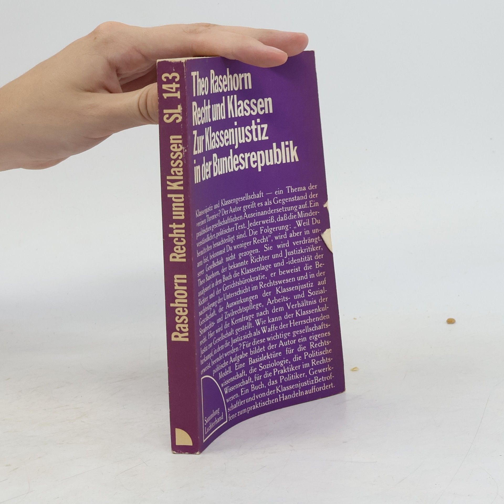 Theo Rasehorn Recht und Klassen