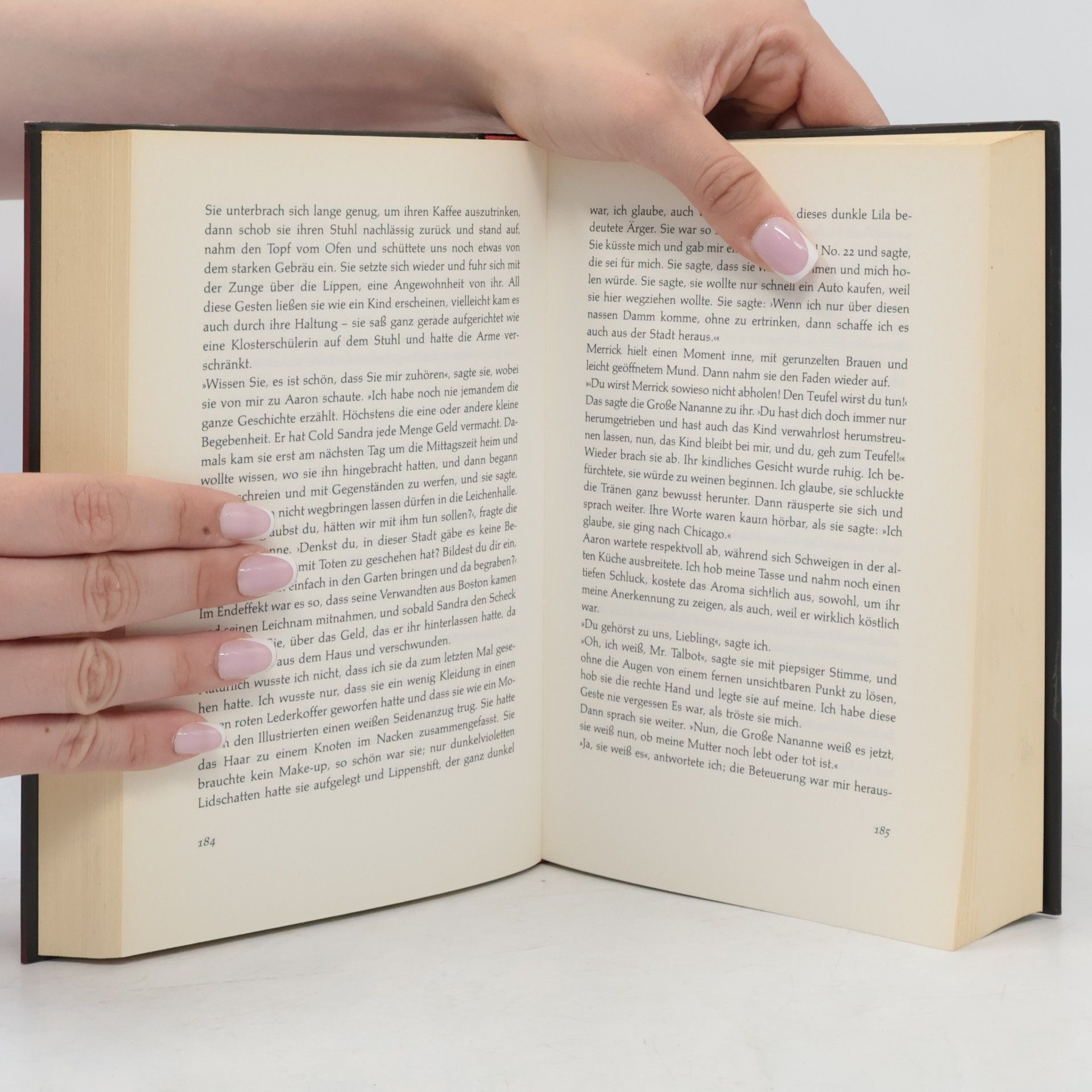 Anne Rice Merrick oder die Schuld des Vampirs