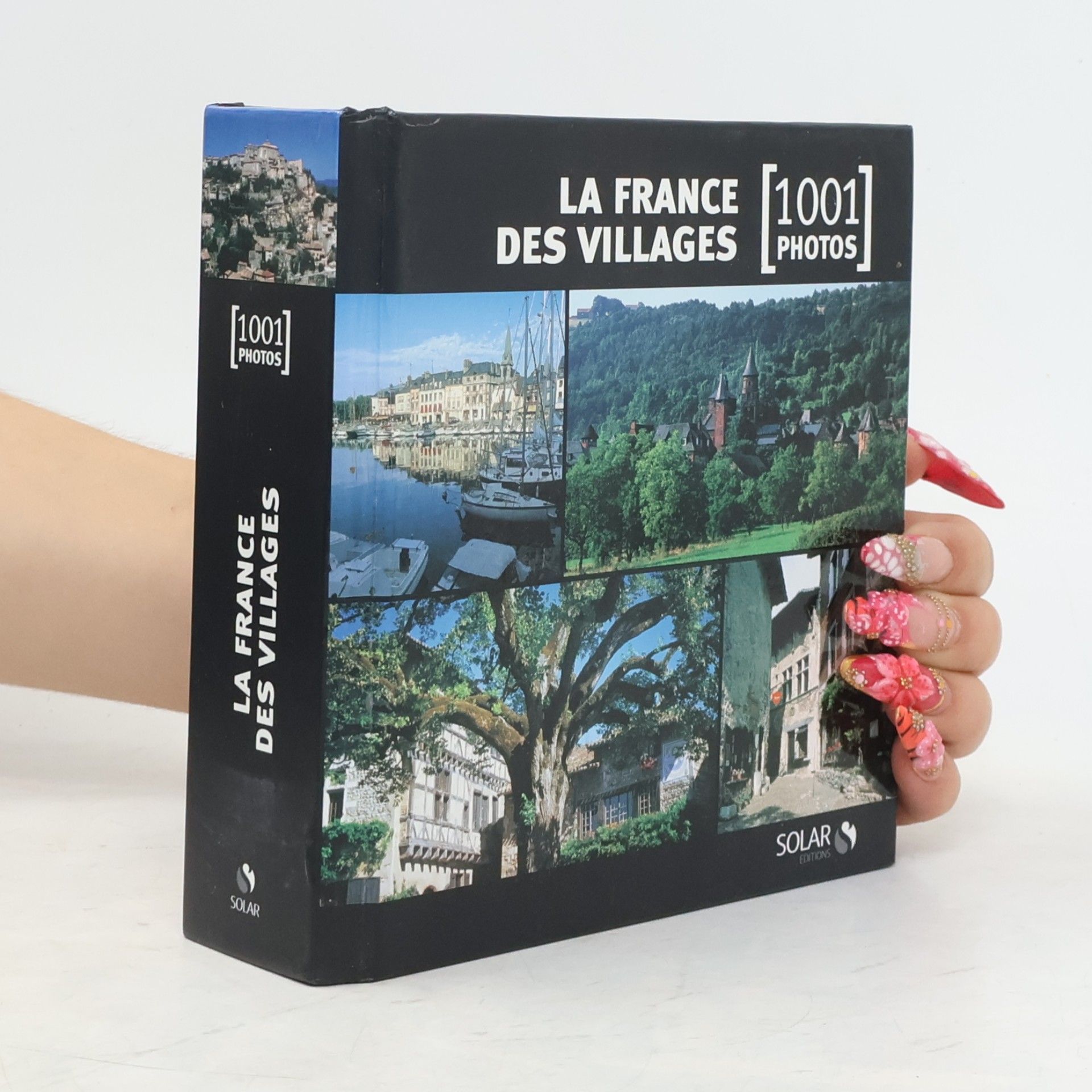 Nicolas Moreau-Delacquis La France des villages