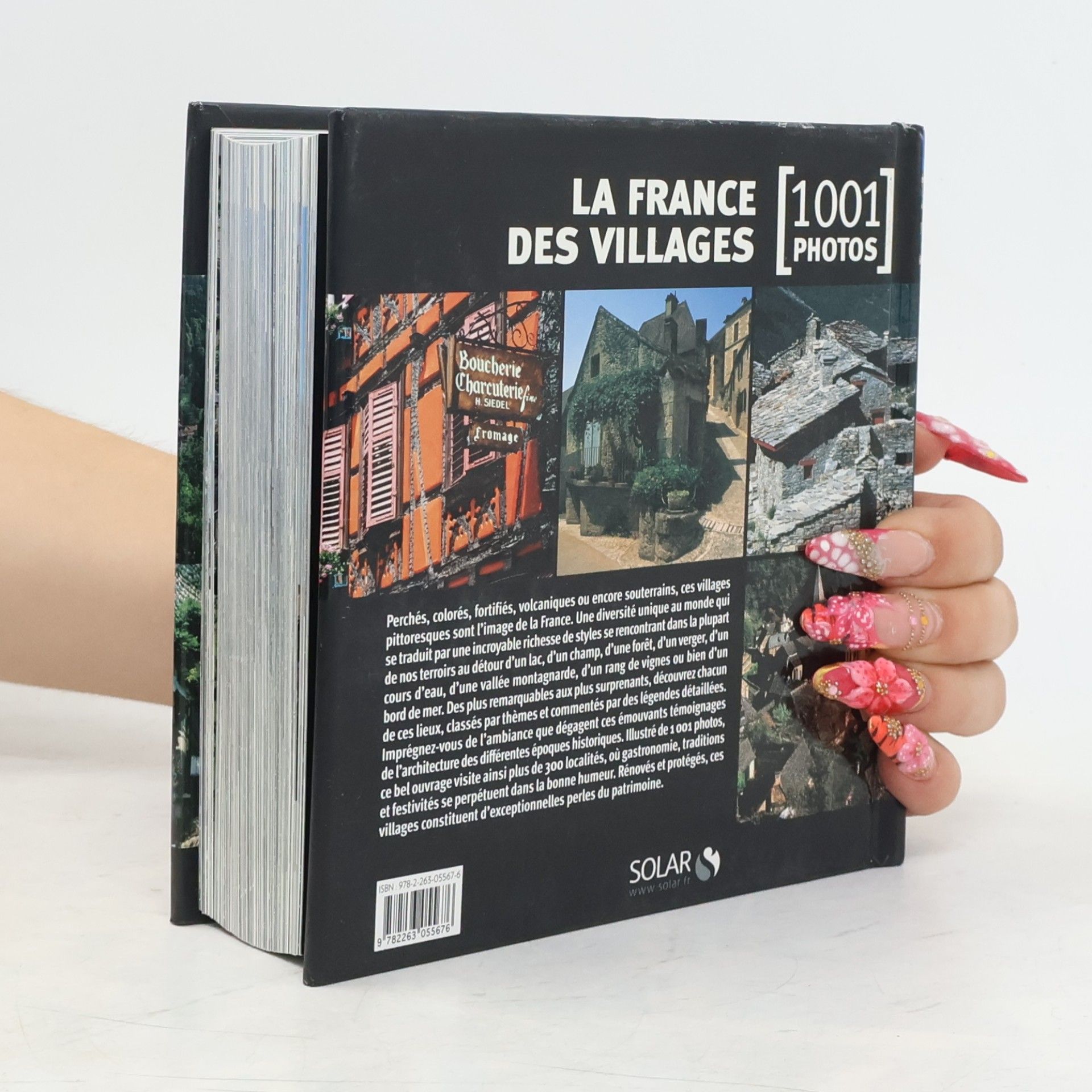 Nicolas Moreau-Delacquis La France des villages
