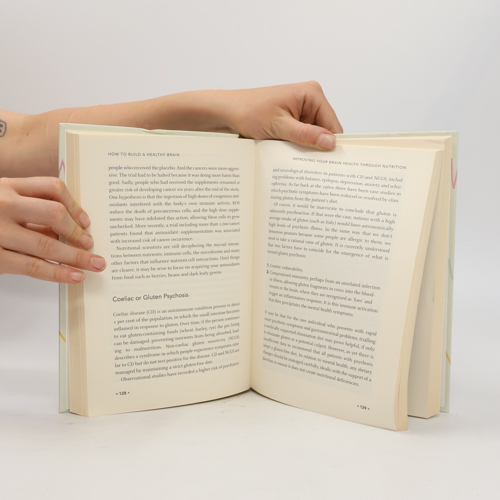 Kolektiv autorů How to Build a Healthy Brain