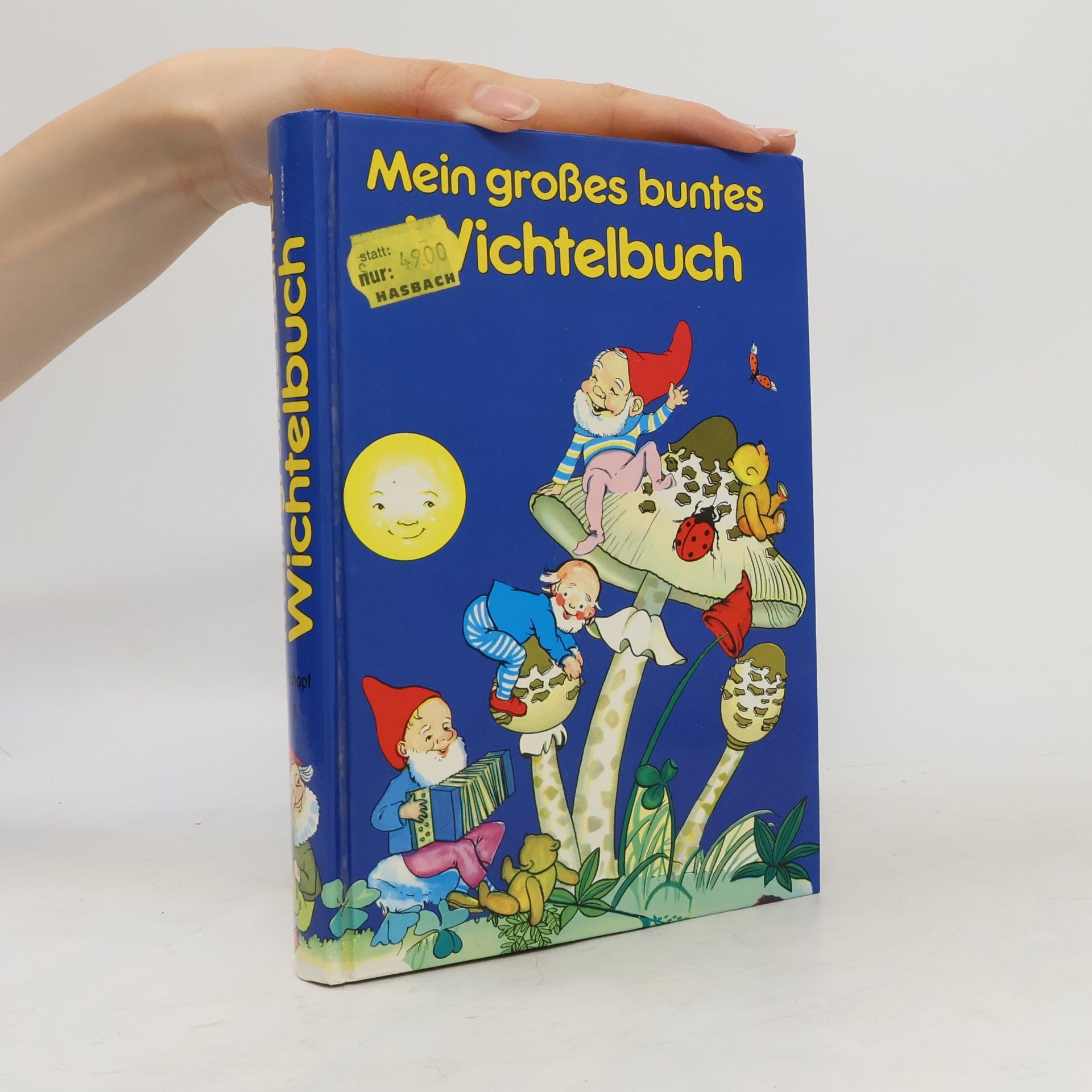 Autorenkollektiv Mein großes buntes Wichtelbuch