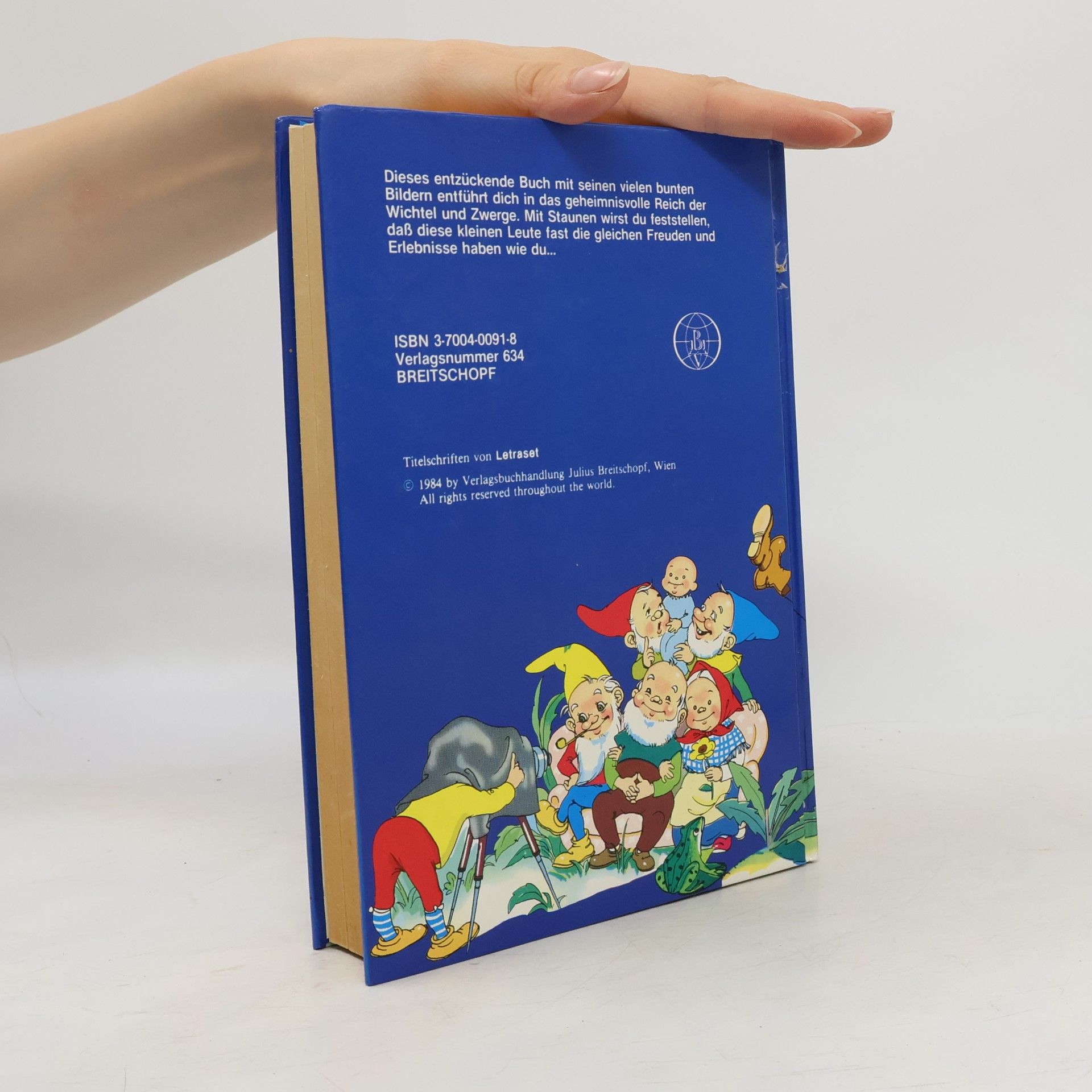 Autorenkollektiv Mein großes buntes Wichtelbuch
