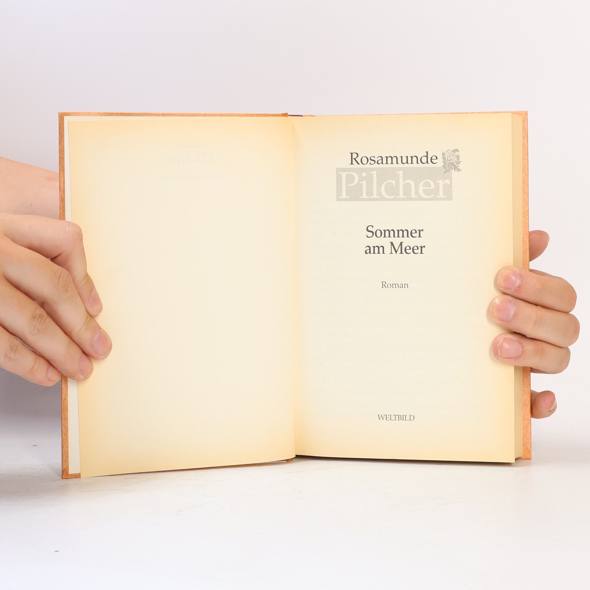 Rosamunde Pilcher Sommer am Meer