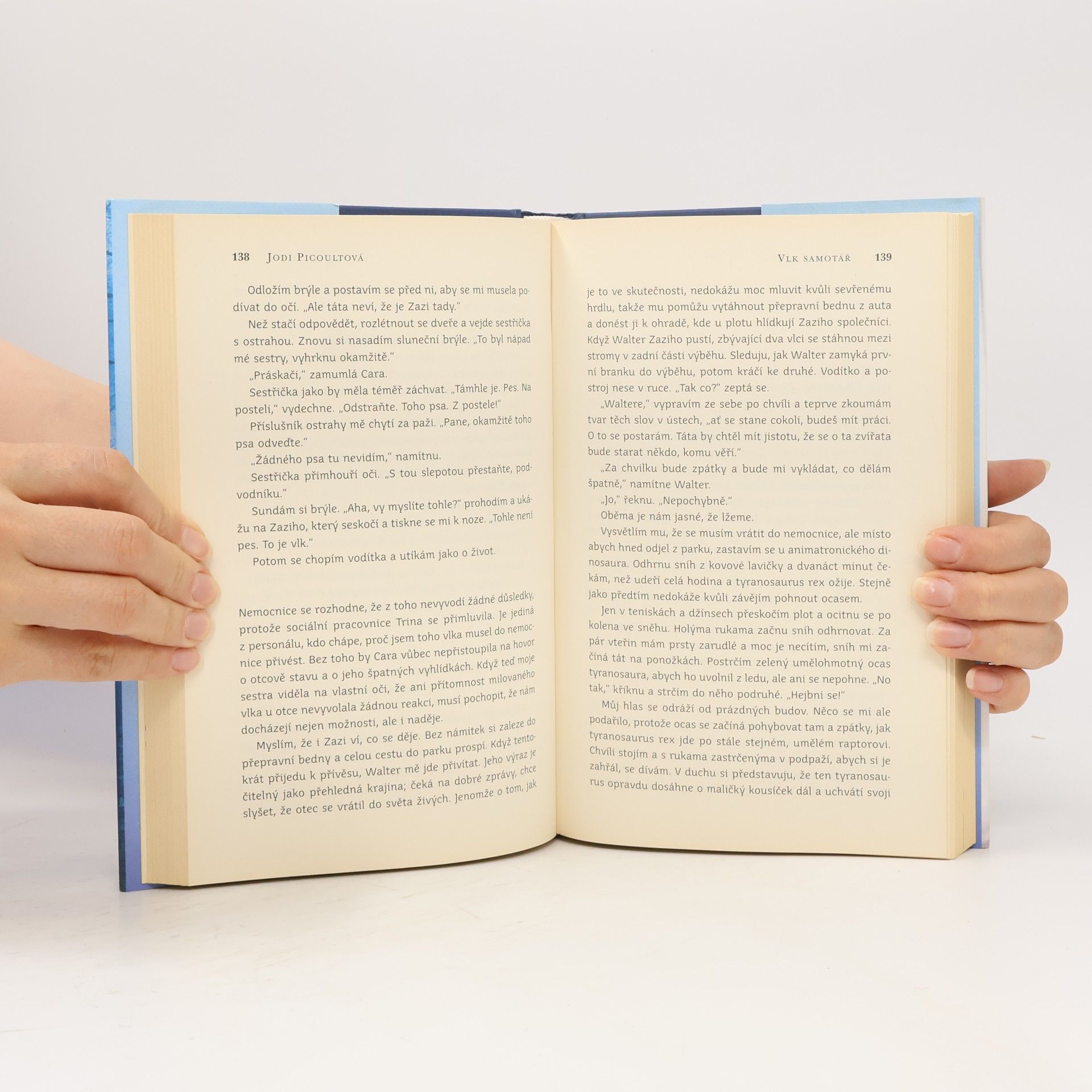 Jodi Picoult Vlk samotář