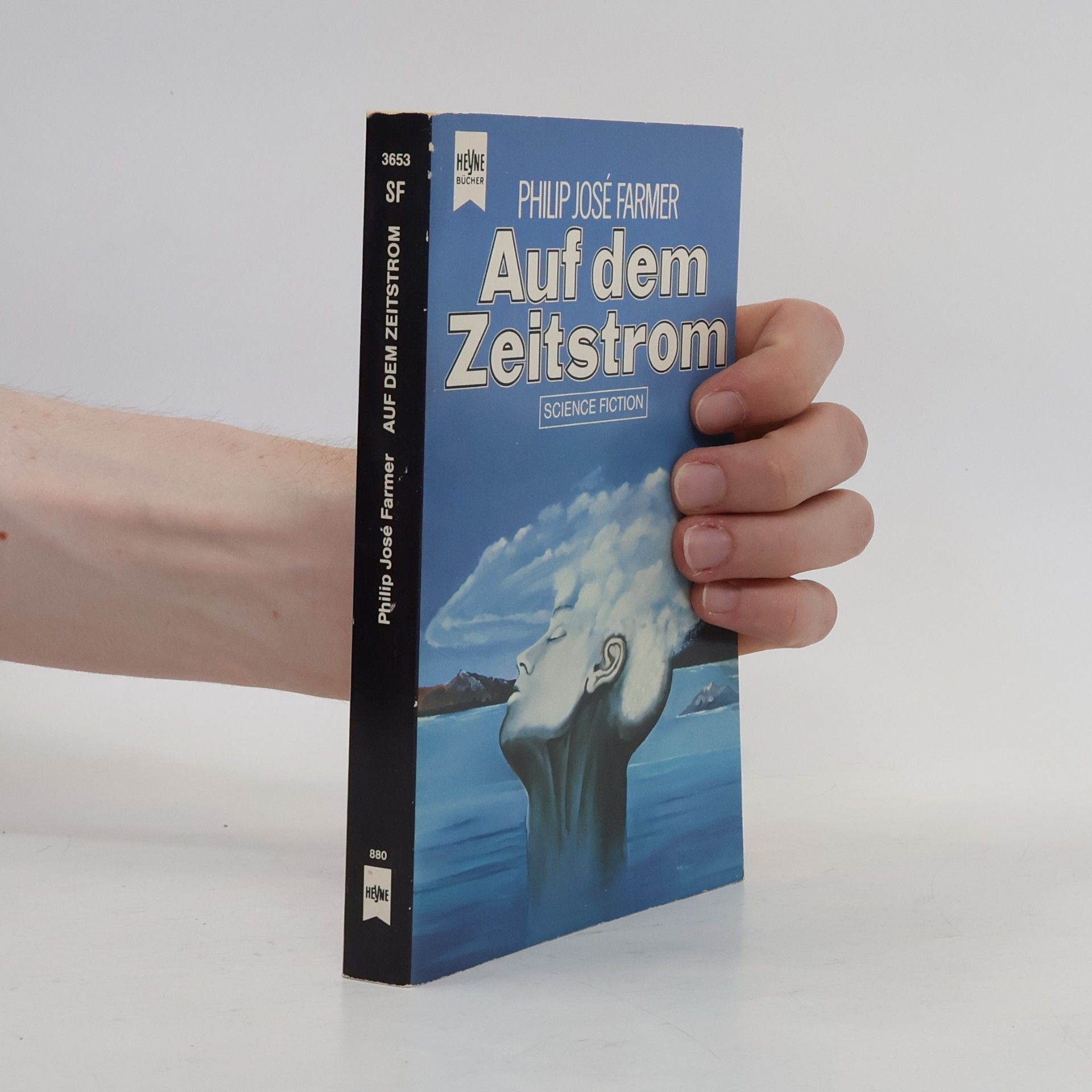 Auf dem Zeitstrom